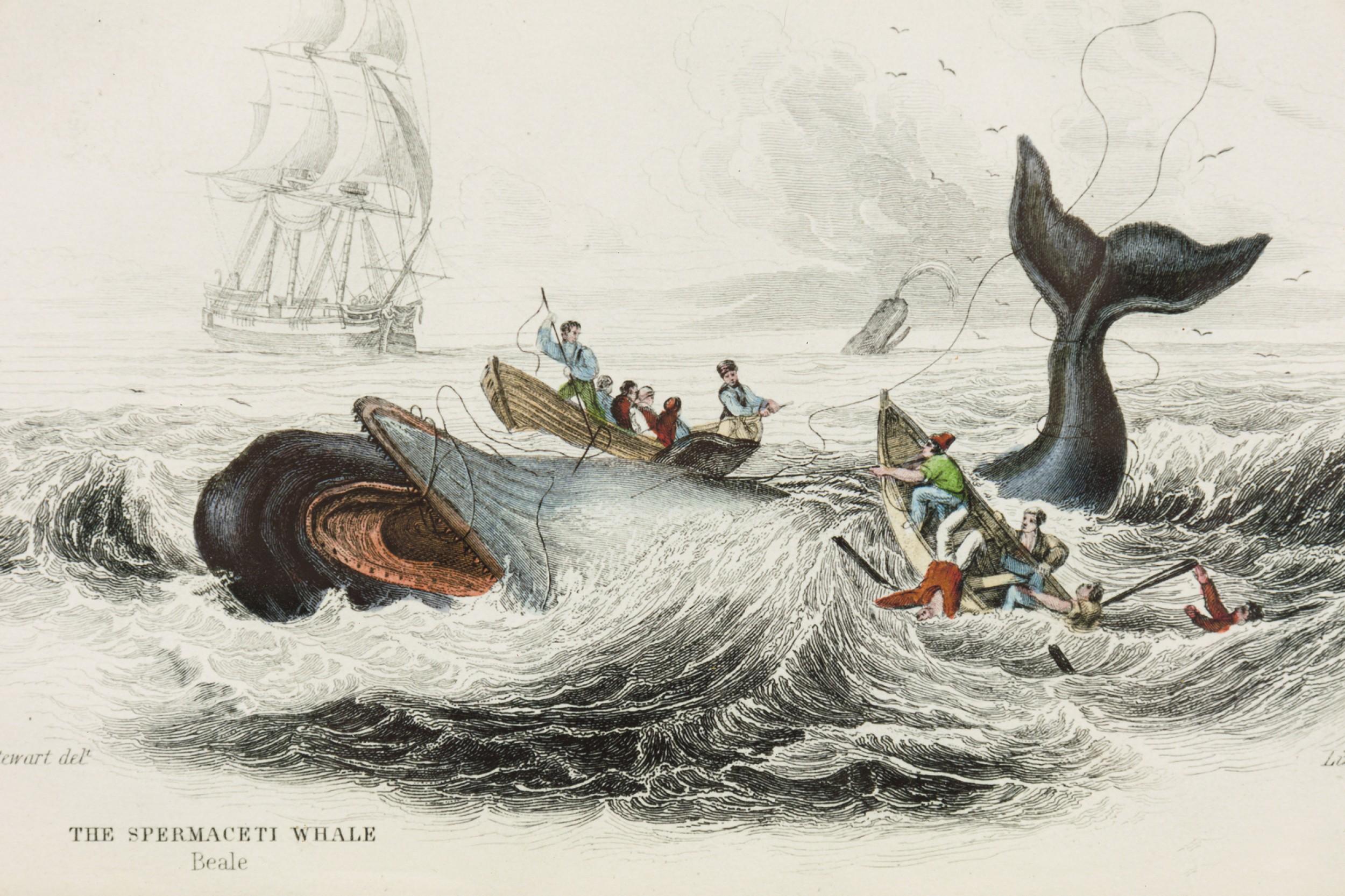 English Lithograph Print of Hunters Attacking a Whale (Britisch) im Angebot