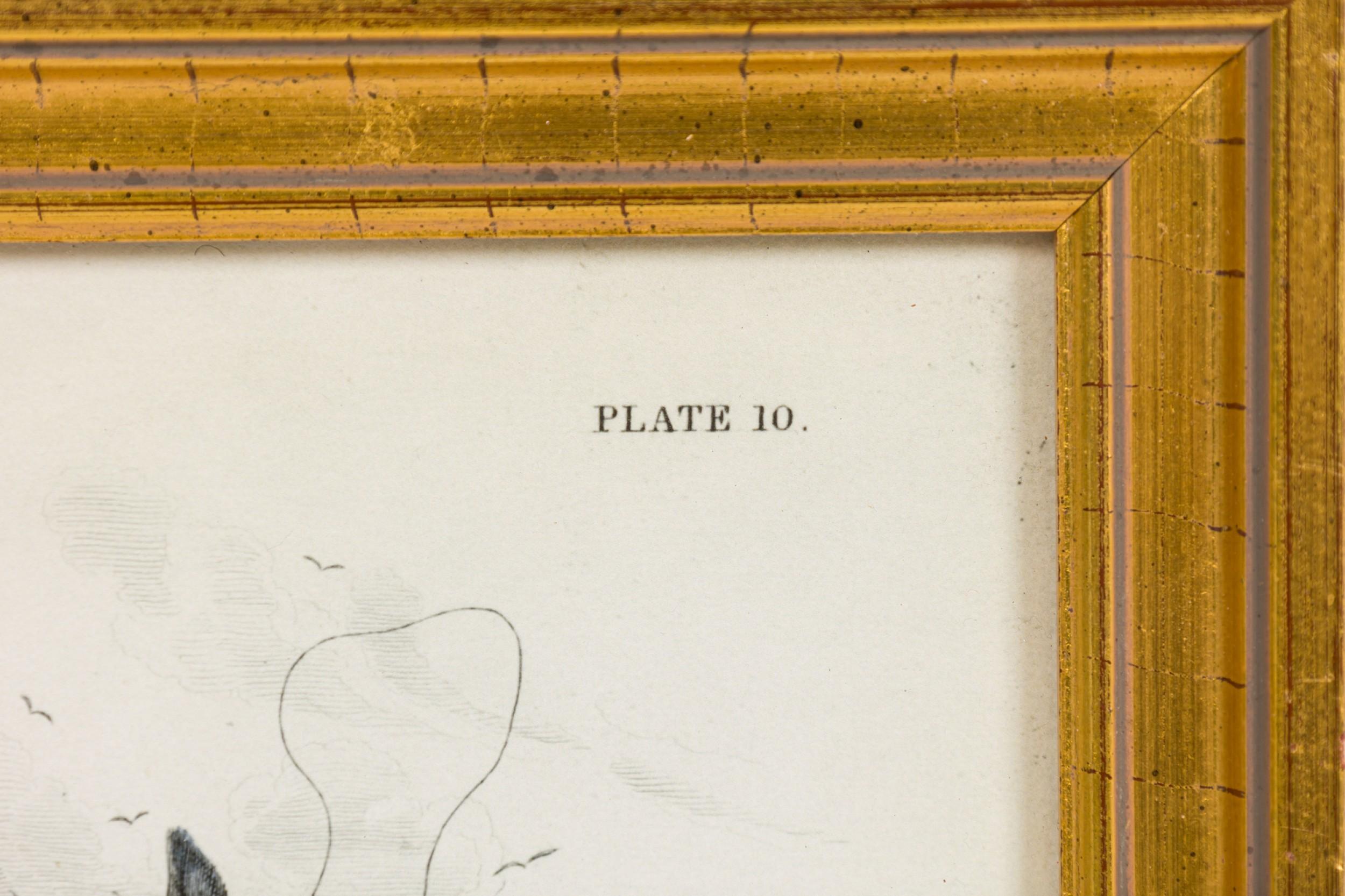 English Lithograph Print of Hunters Attacking a Whale im Zustand „Gut“ im Angebot in Queens, NY