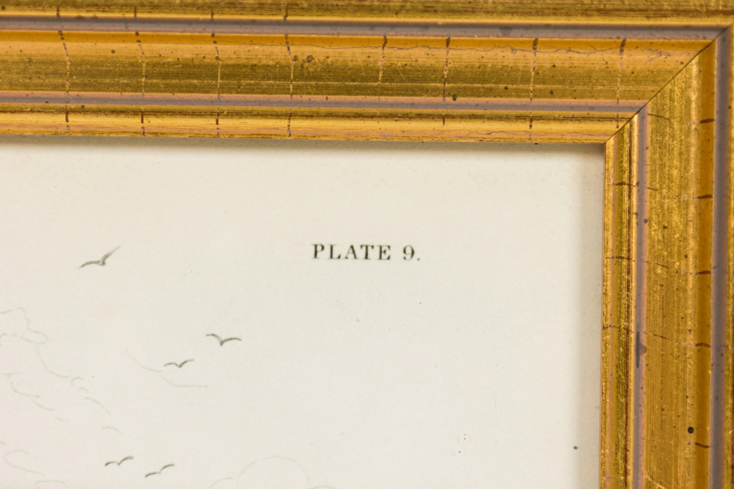 English Lithograph Print of Spermaceti Whale Hunting (Britisch) im Angebot