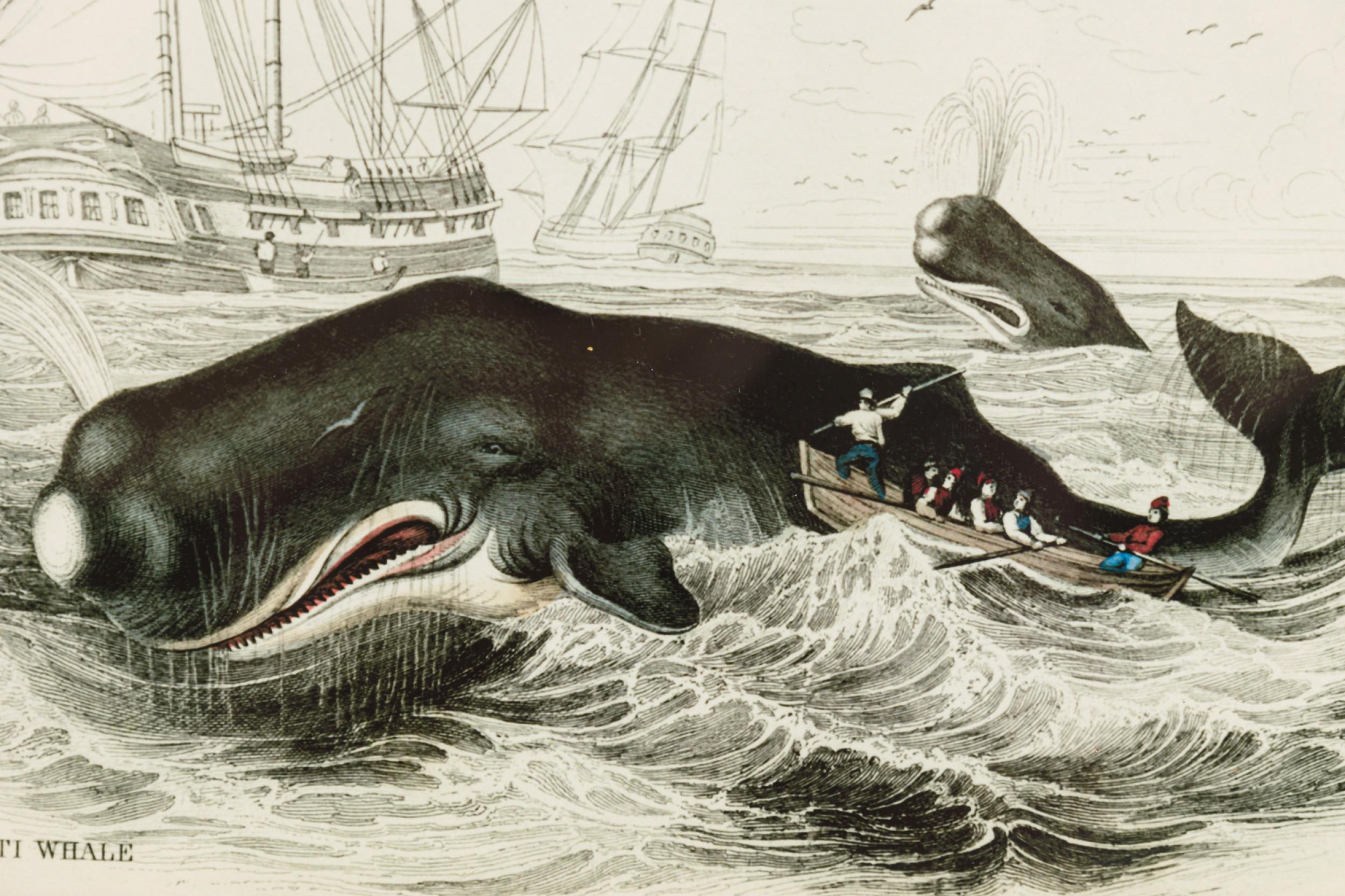 English Lithograph Print of Spermaceti Whale Hunting im Zustand „Gut“ im Angebot in Queens, NY