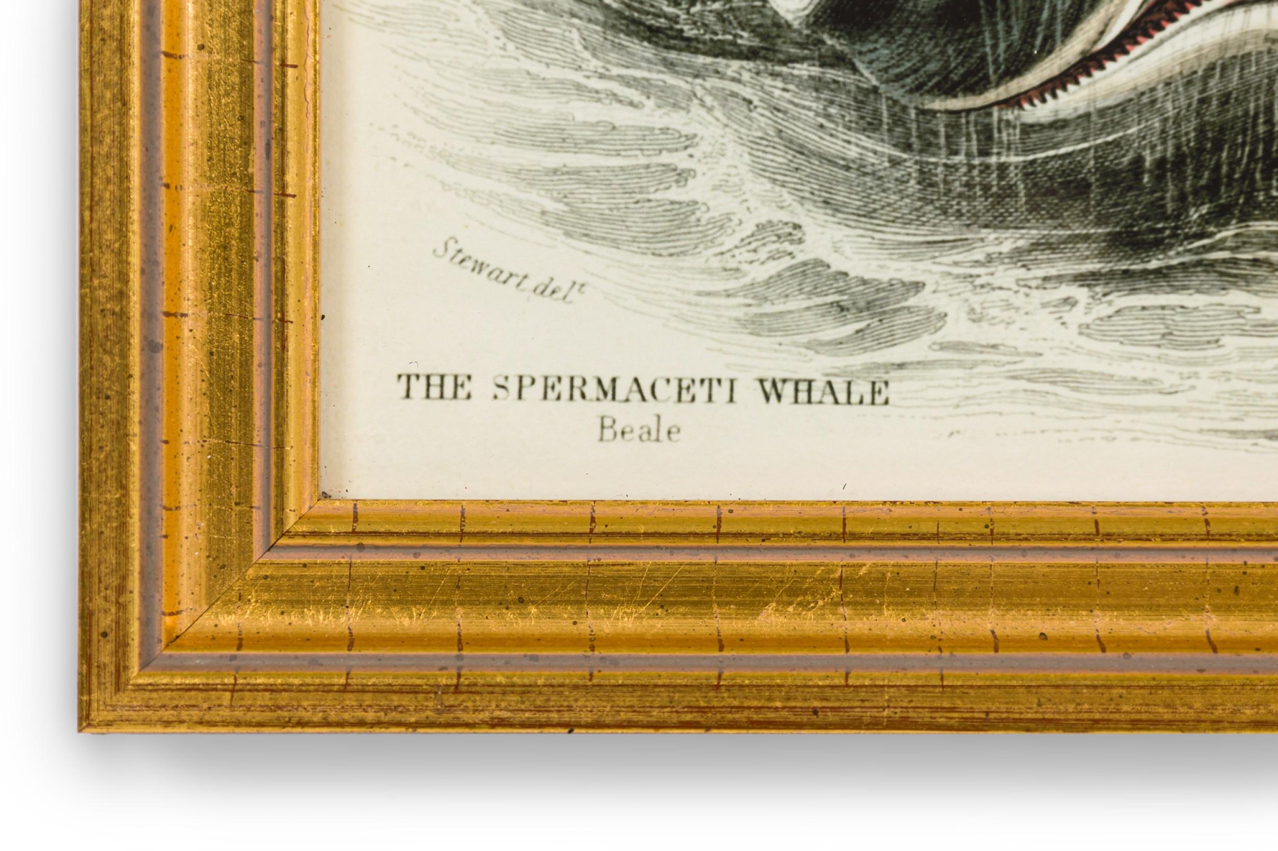 English Lithograph Print of Spermaceti Whale Hunting (19. Jahrhundert) im Angebot
