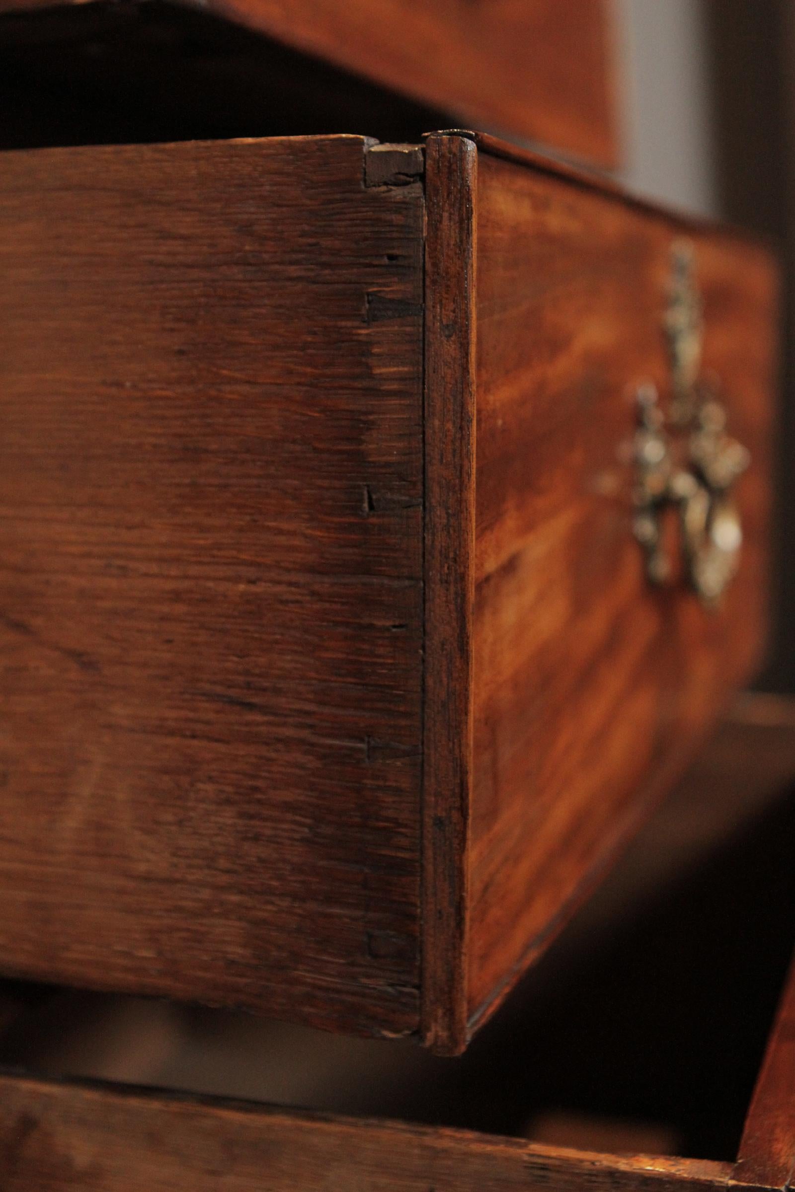 English Mahogany 4-Drawer Tall/Lingerie Chest, circa 1820-1840 3