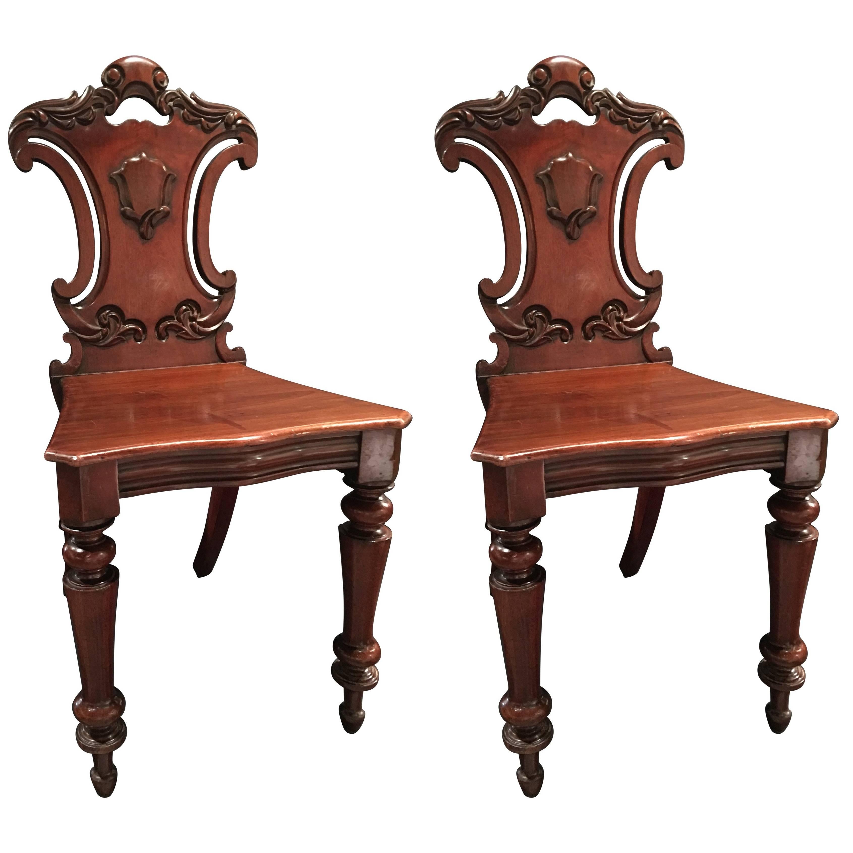 English Mahogany Carved Pair of Hall Chairs, 19th Century