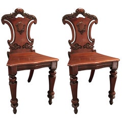 English Mahogany Carved Pair of Hall Chairs, 19th Century