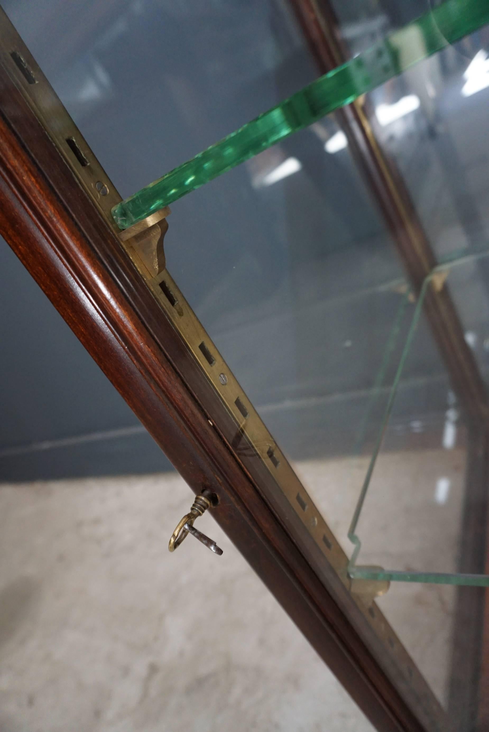 Industrial English Mahogany Vitrine / Display Cabinet, 1920s