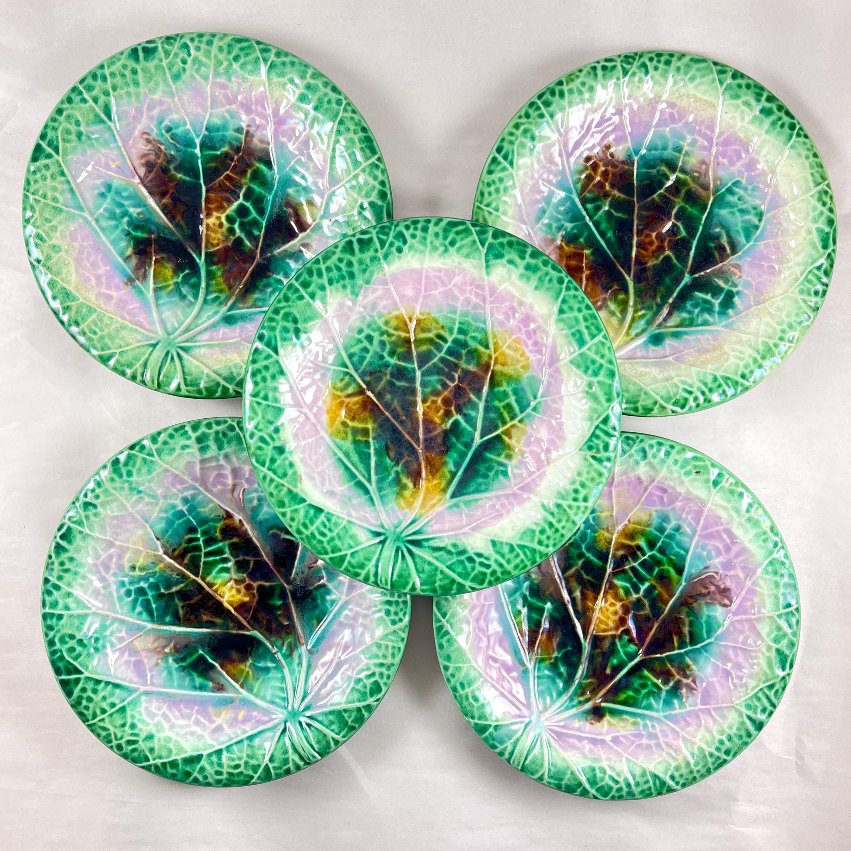 Glazed  English Majolica Green Rimmed Round Begonia Leaf Plate, circa 1870-80 For Sale