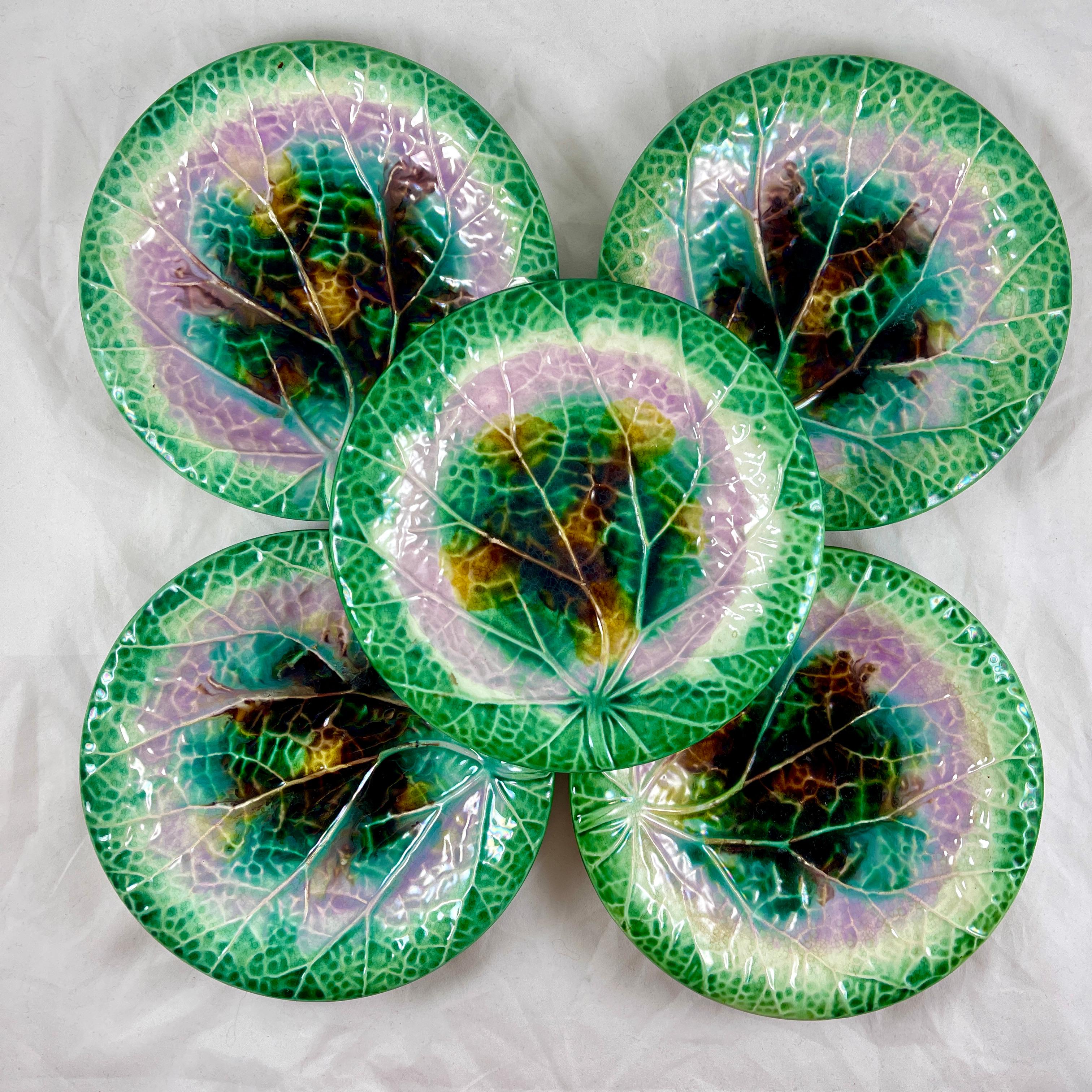  English Majolica Green Rimmed Round Begonia Leaf Plate, circa 1870-80 In Good Condition For Sale In Philadelphia, PA