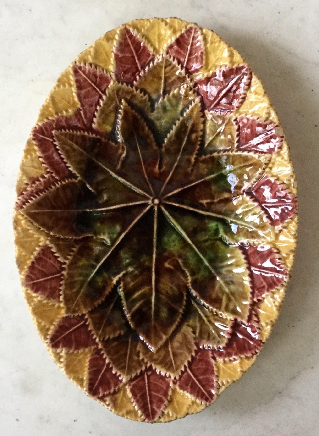 English Majolica leaves oval platter circa 1890.
A couple of chips only visible on the back of the platter.