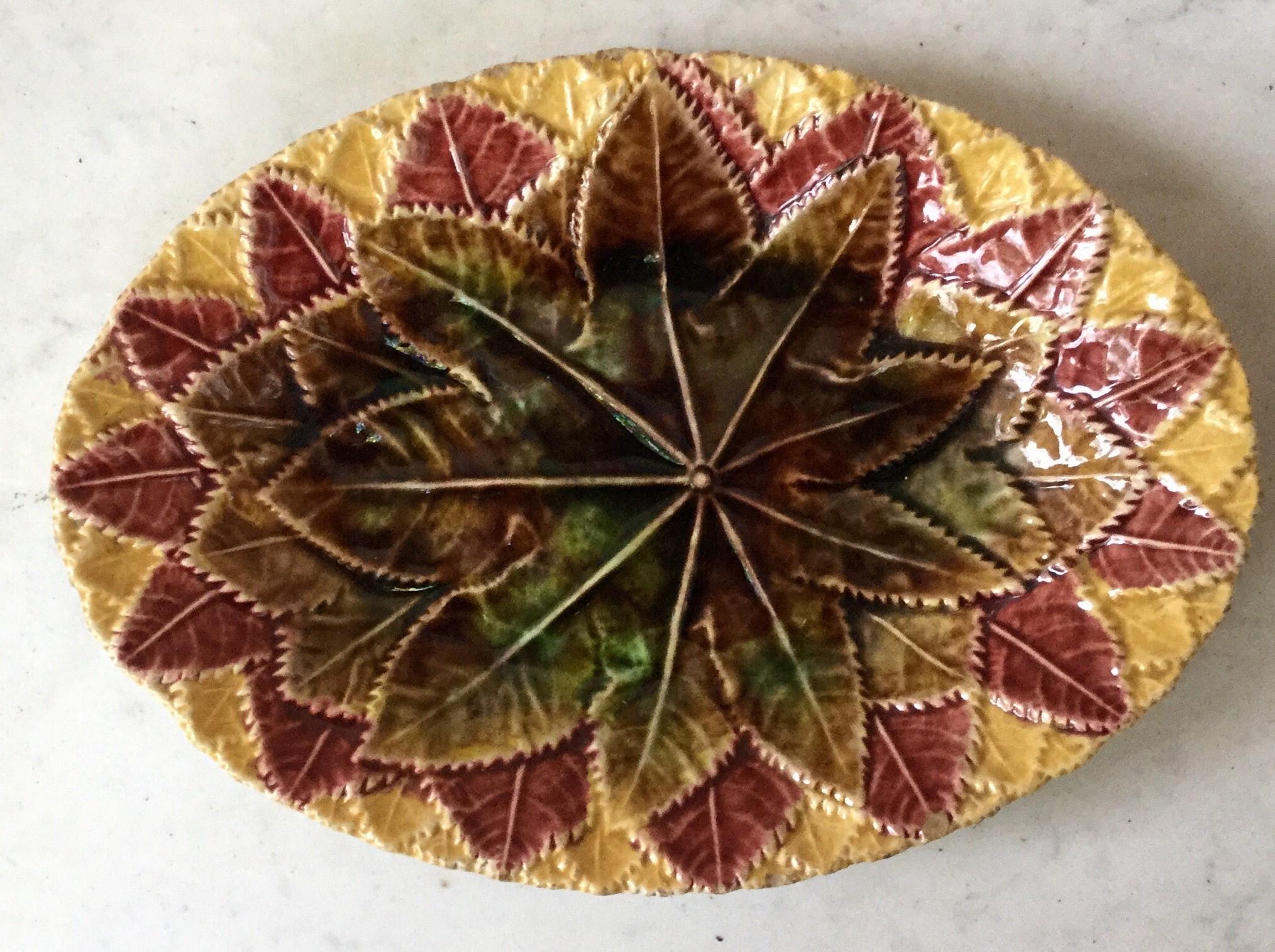 Country English Majolica Leaves Oval Platter, circa 1890