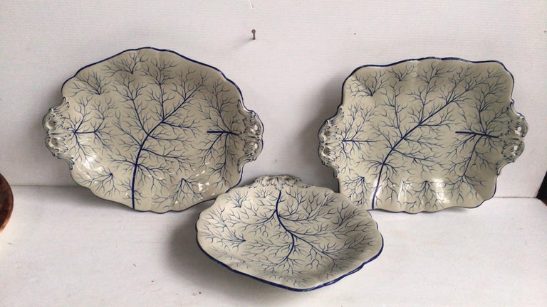 English Majolica oval blue and white platter, circa 1890.
Painted branches.
Measures: Length 11.7 inches on 9, height 1.5 inches.