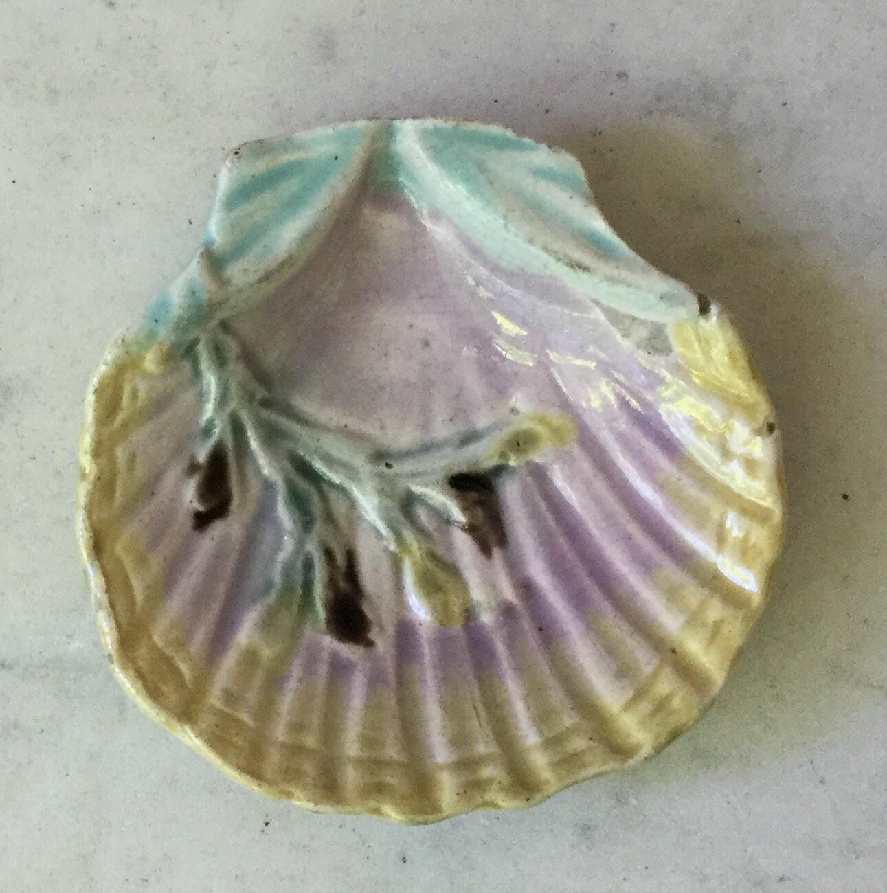 English Majolica shell butter pat, circa 1880.
   