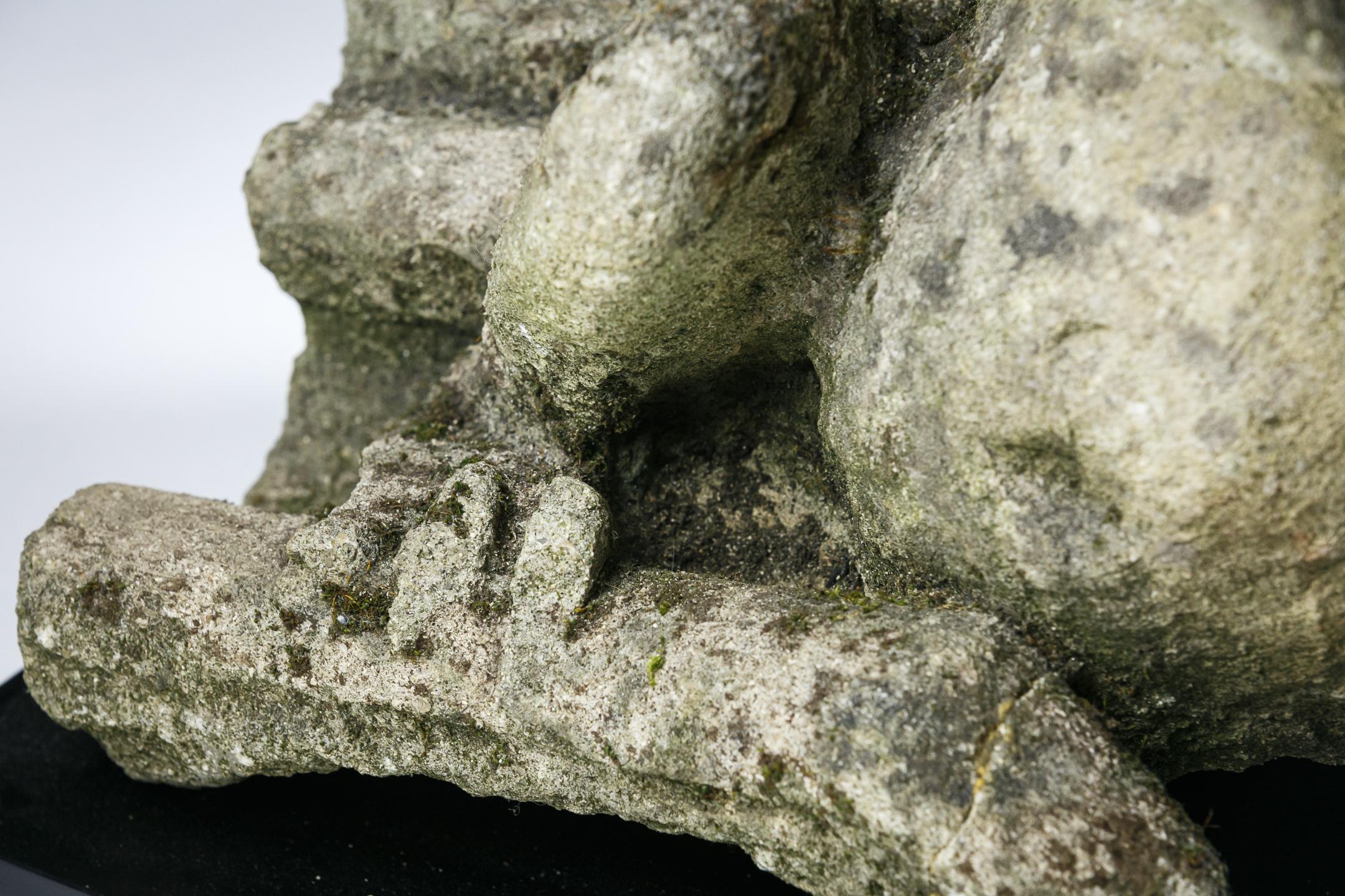 English Medieval Carved Stone Gargoyle 8