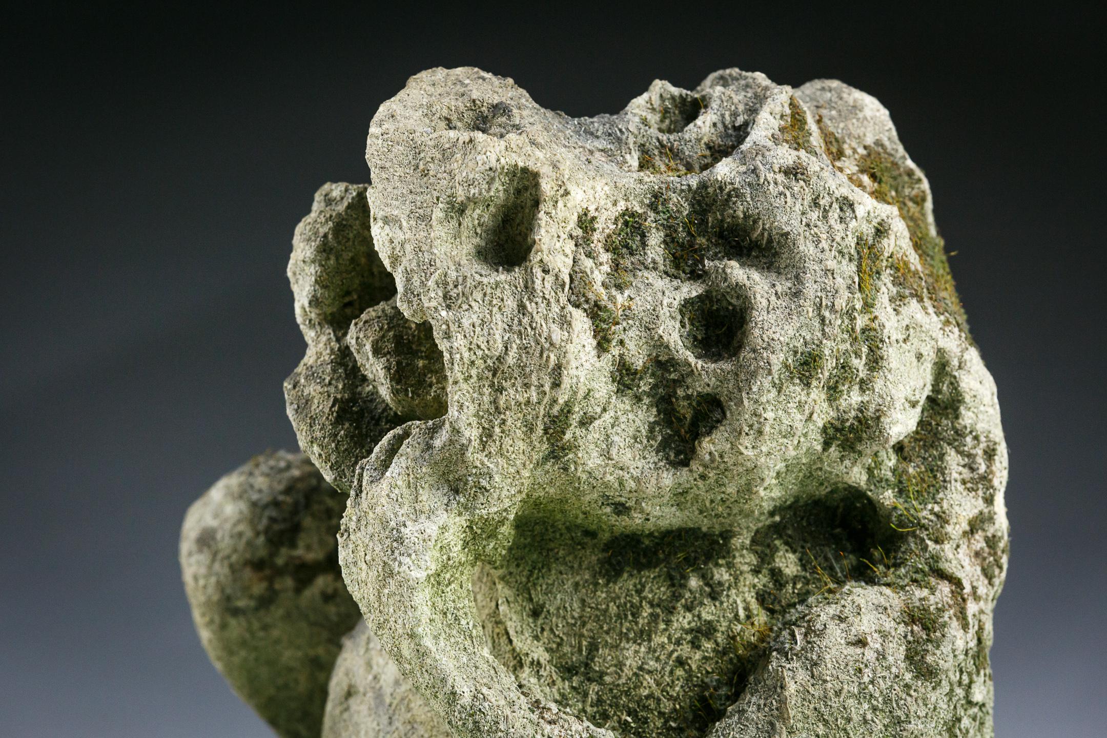 English Medieval Carved Stone Gargoyle 4