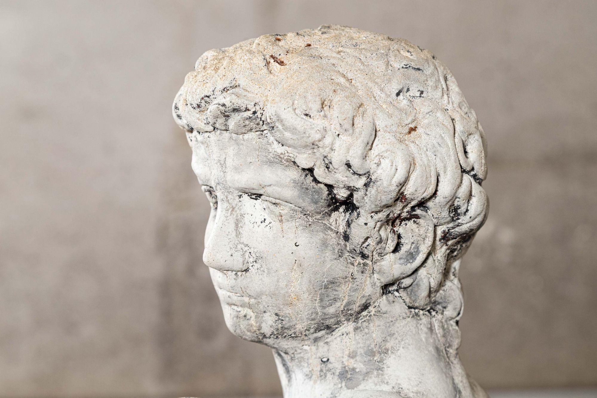 English Michelangelo's David Statue For Sale 6