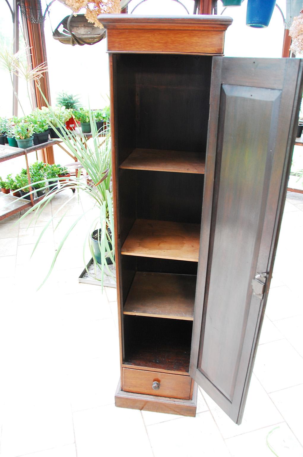 Mahogany English Mid-19th Century Paneled Chimney Cabinet Drawer and Interior Shelves