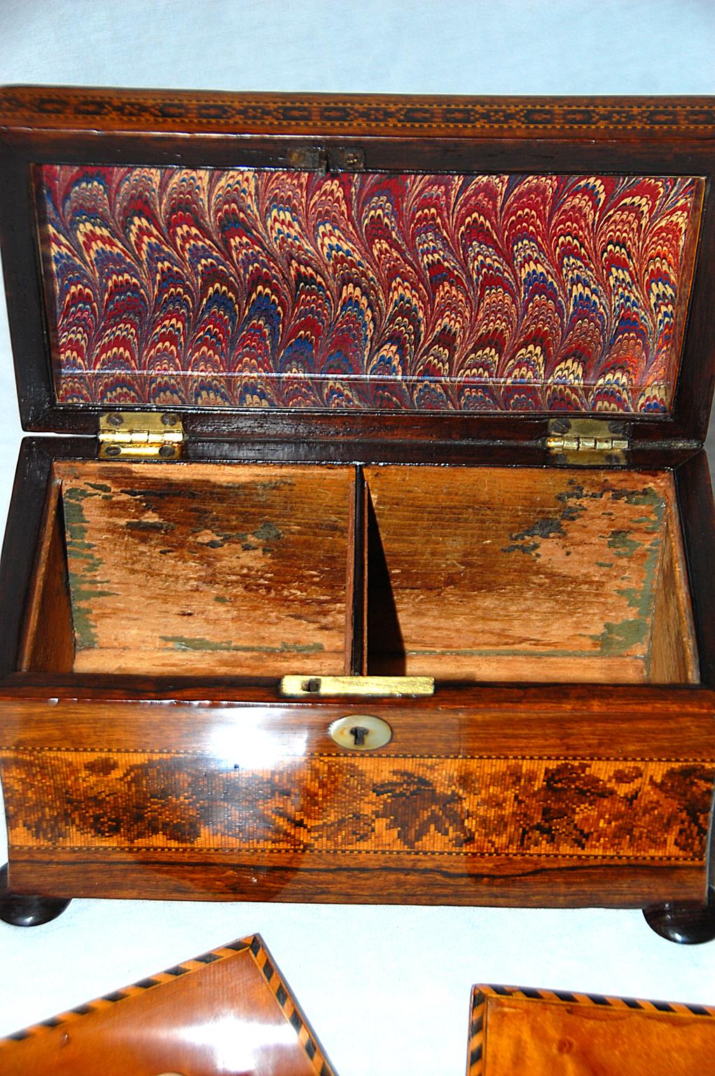 Satinwood English Mid 19th Century Rosewood Tunbridge Inlaid Teacaddy with Deer and Fawn