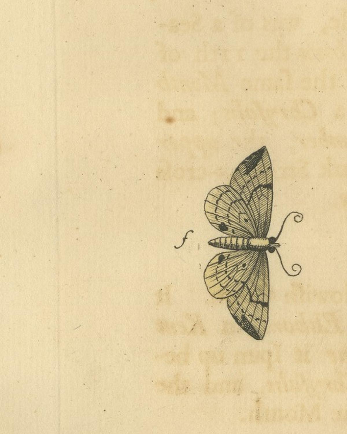 English Moths on Hawthorn Branch – Early 18th-Century Hand-Colored Print