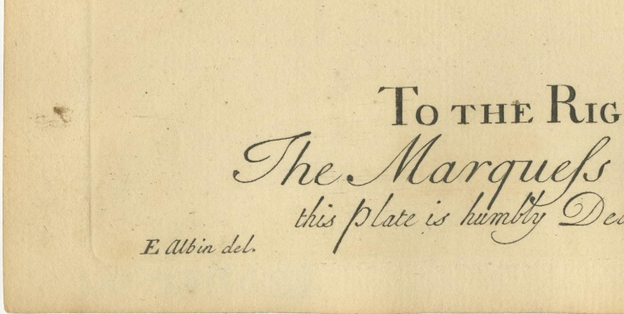English Moths on Oak – Hand-Colored Insect Engraving, Eleazar Albin 1720