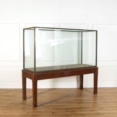 English Museum Display Cabinet on Stand