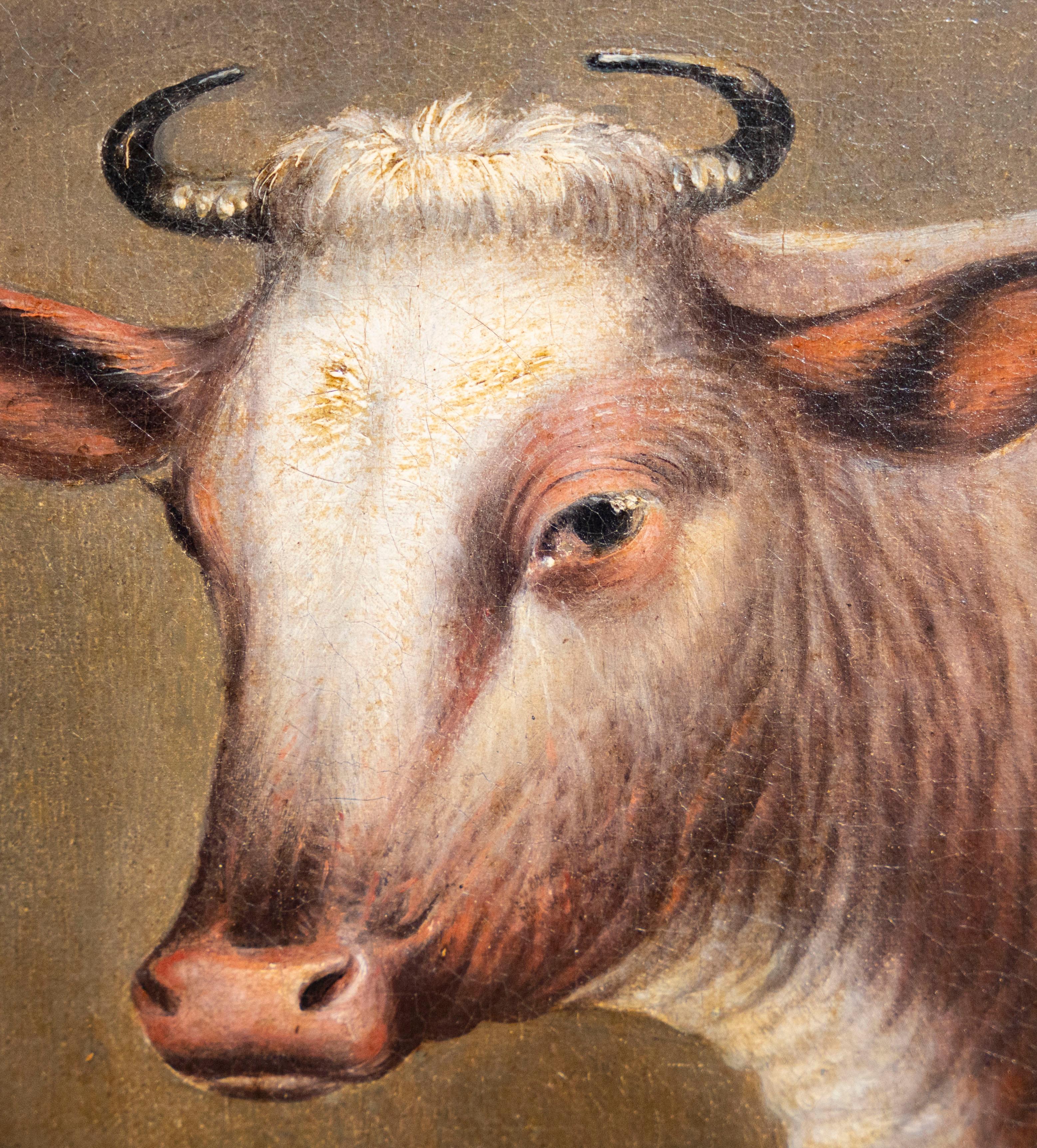 English Naive 19th Century - Cow in a stable interior - Painting by English Naive School