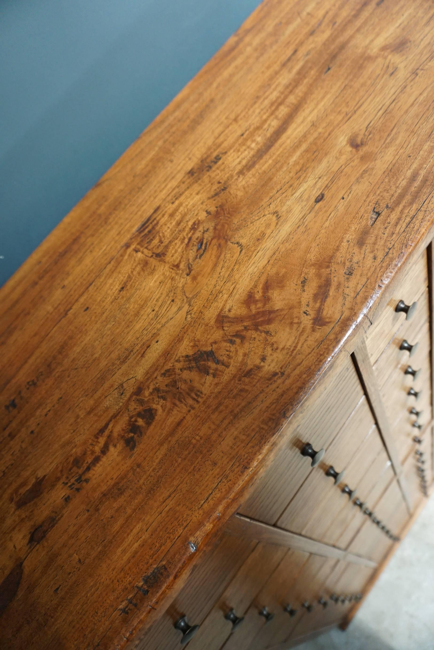 English Oak Apothecary Cabinet, 1900s In Good Condition In Nijmegen, NL