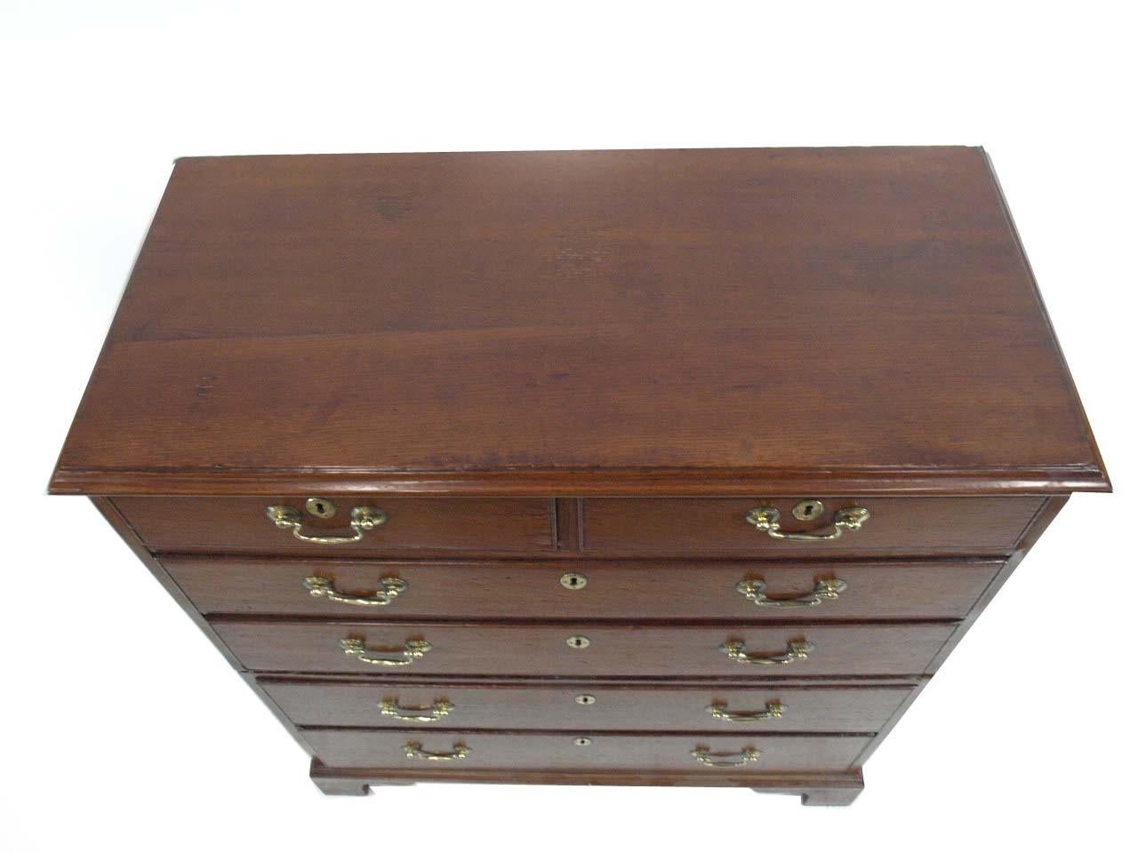 Mid-19th Century English Oak Campaign Chest For Sale