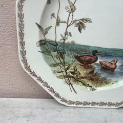 English Octagonal Plate Ducks on Lake Brown Westhead and Moore, circa 1890