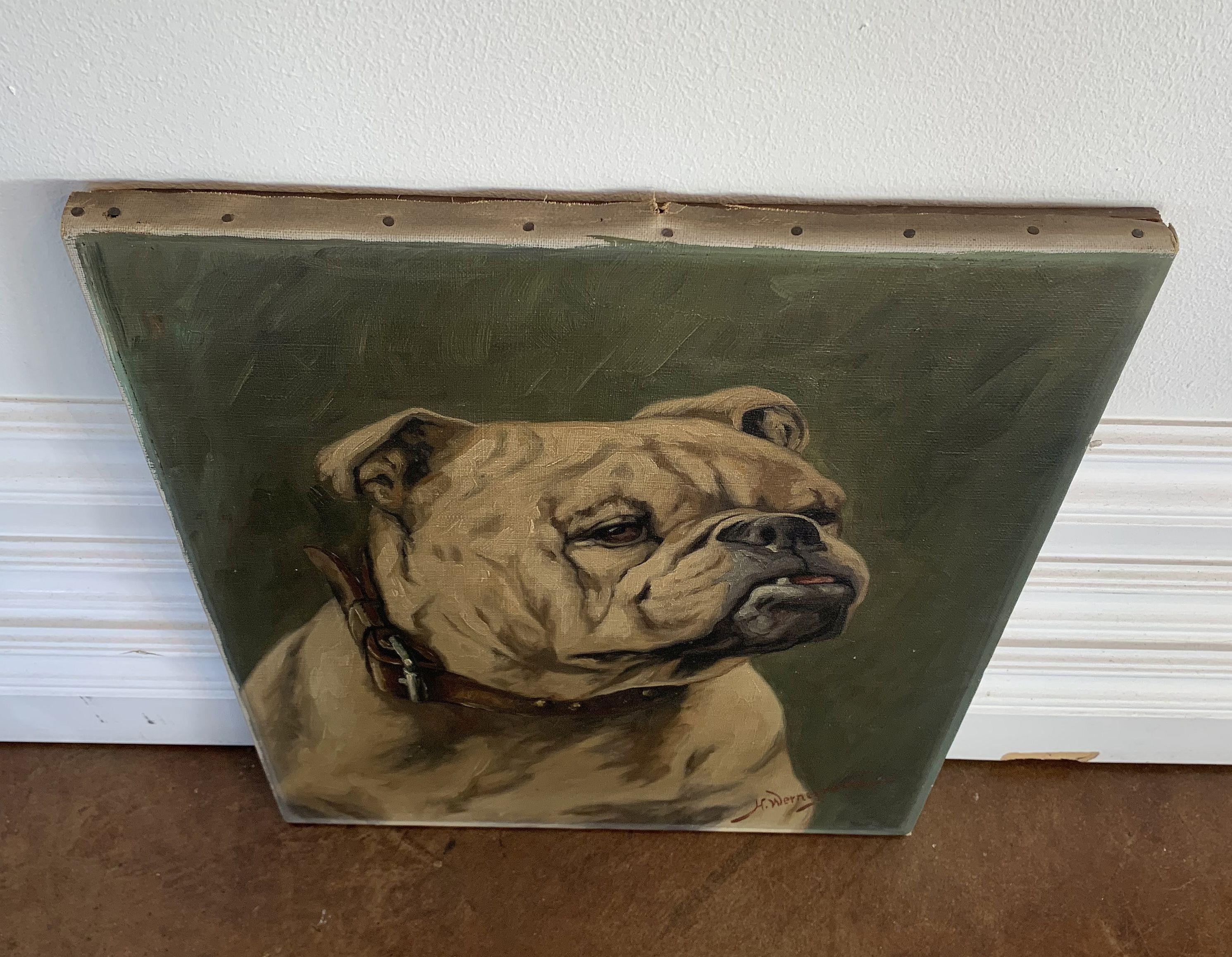 English Oil on Canvas Painting of a Bulldog by H. Wernegreen 5
