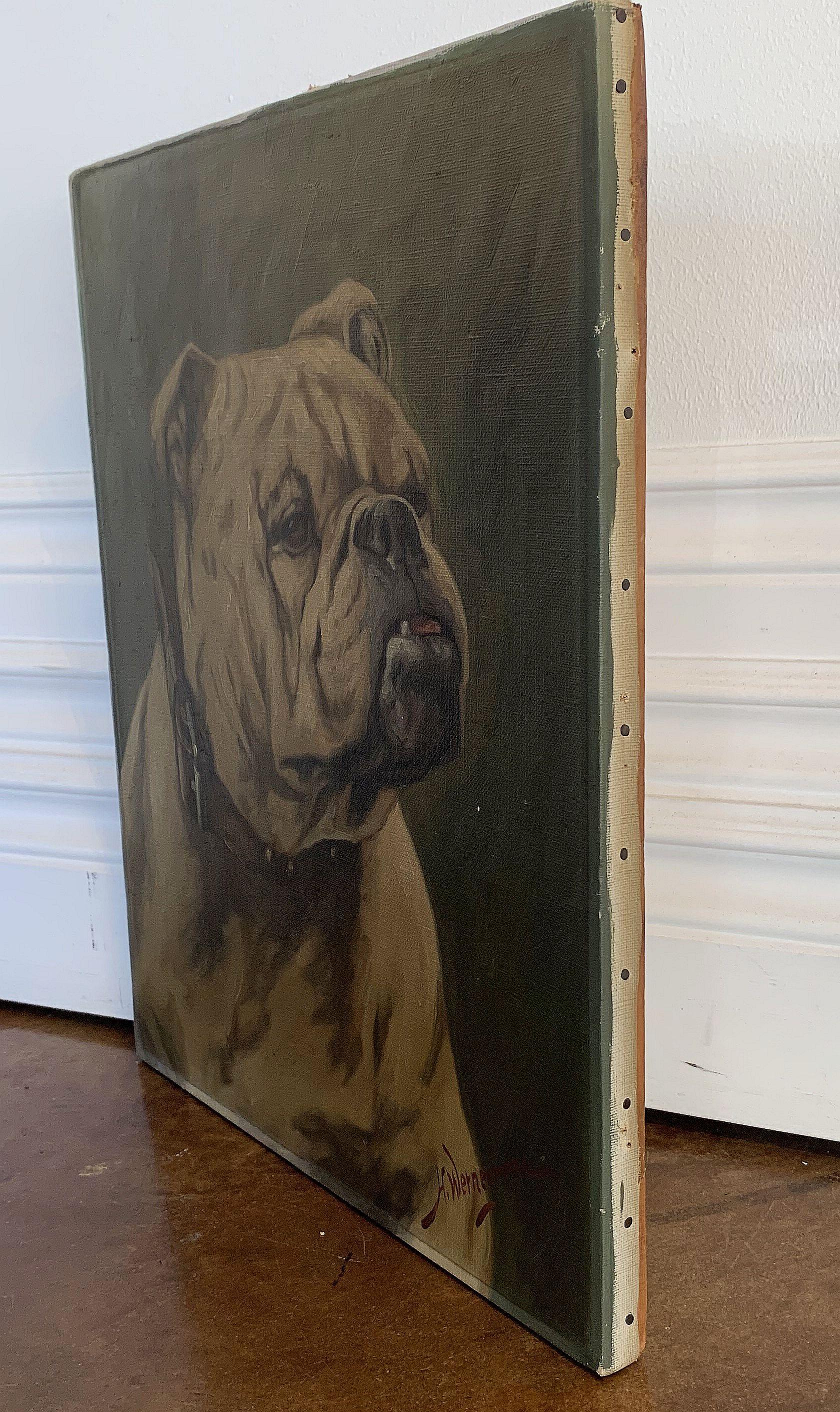 English Oil on Canvas Painting of a Bulldog by H. Wernegreen 6
