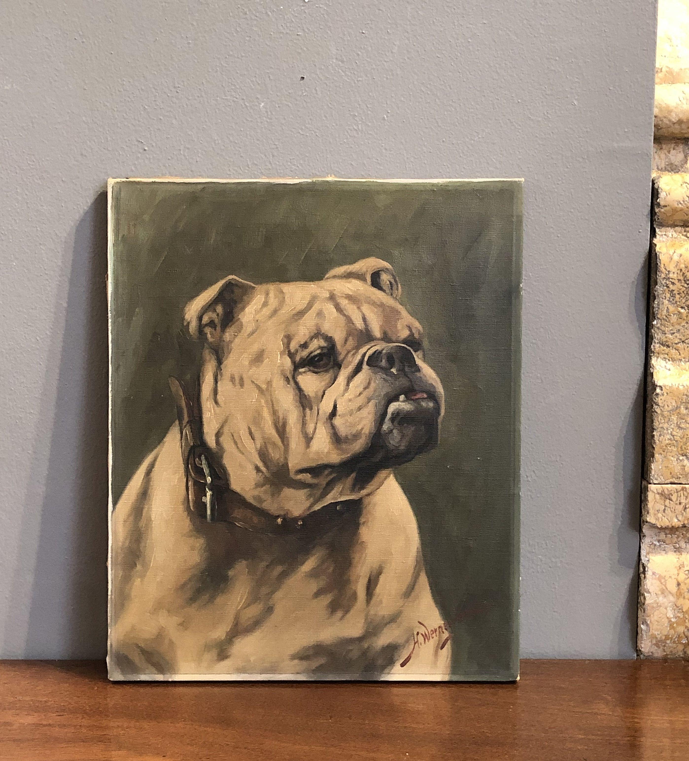 A fine American unframed oil painting on canvas, depicting a bulldog with stud collar, by the Danish/American artist, Helio Wernegreen (1907-1979).
Signed: H. Wernegreen in lower right corner.

Dimensions are H 17 1/4 inches x W 14 1/4