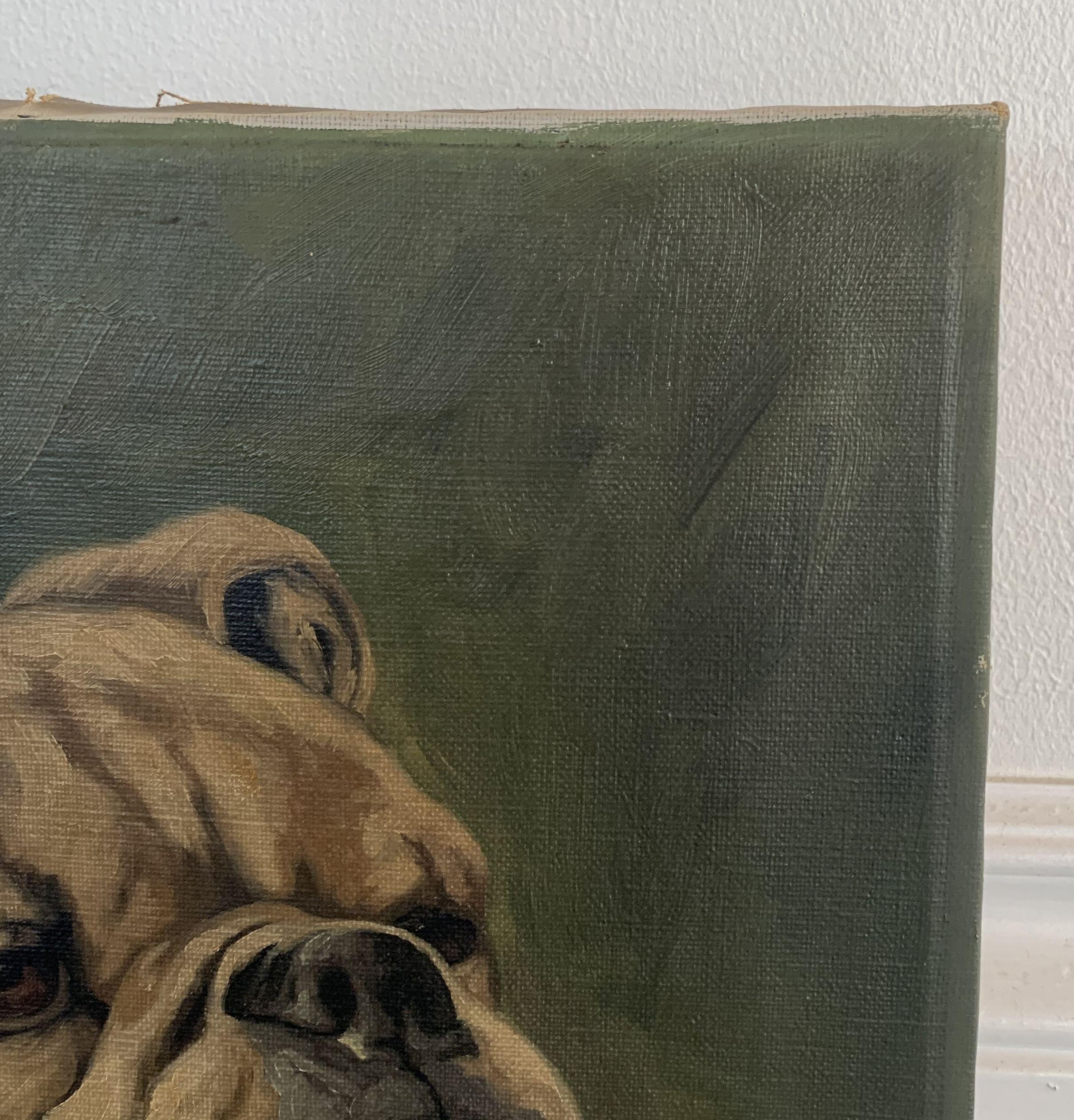 20th Century English Oil on Canvas Painting of a Bulldog by H. Wernegreen