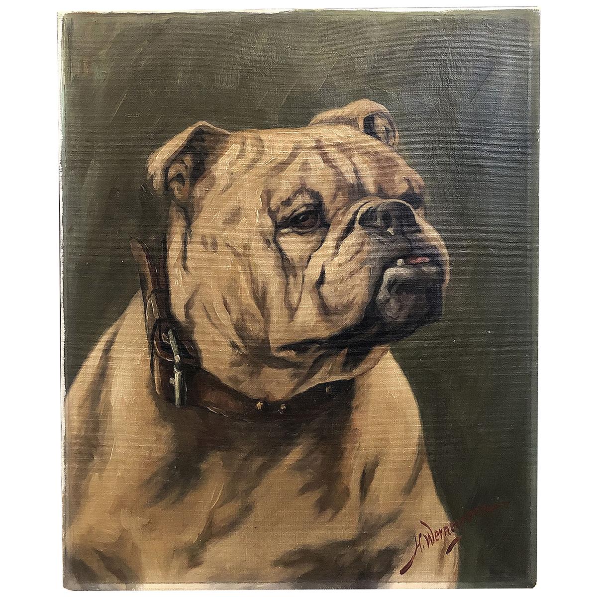English Oil on Canvas Painting of a Bulldog by H. Wernegreen