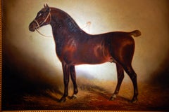 English Original Lynwood Palmer Oil Painting on Canvas "Portrait of a Horse"