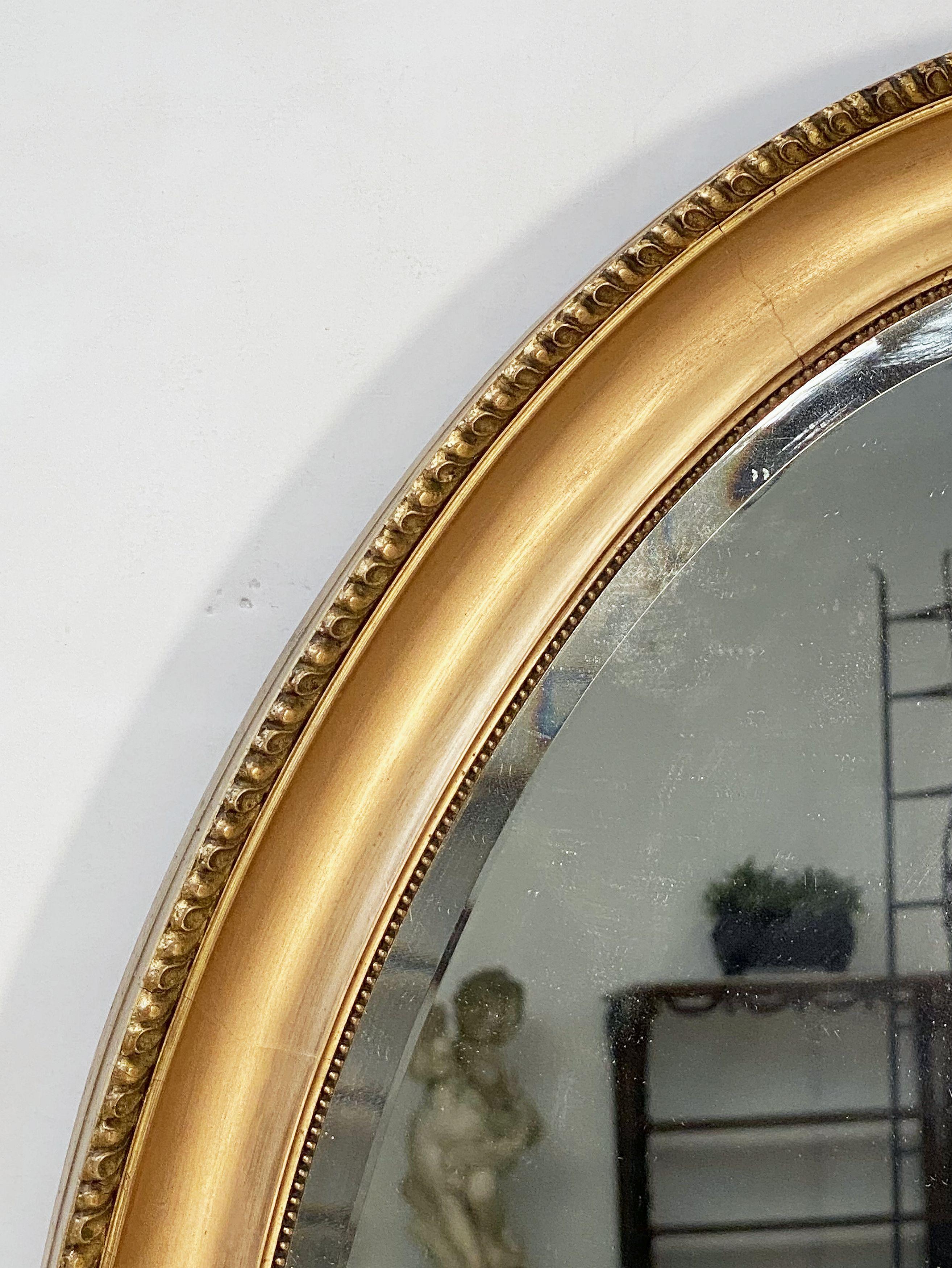 Giltwood English Oval Beveled Mirror in Gilt Frame (H 33 1/2 x W 23 3/4)