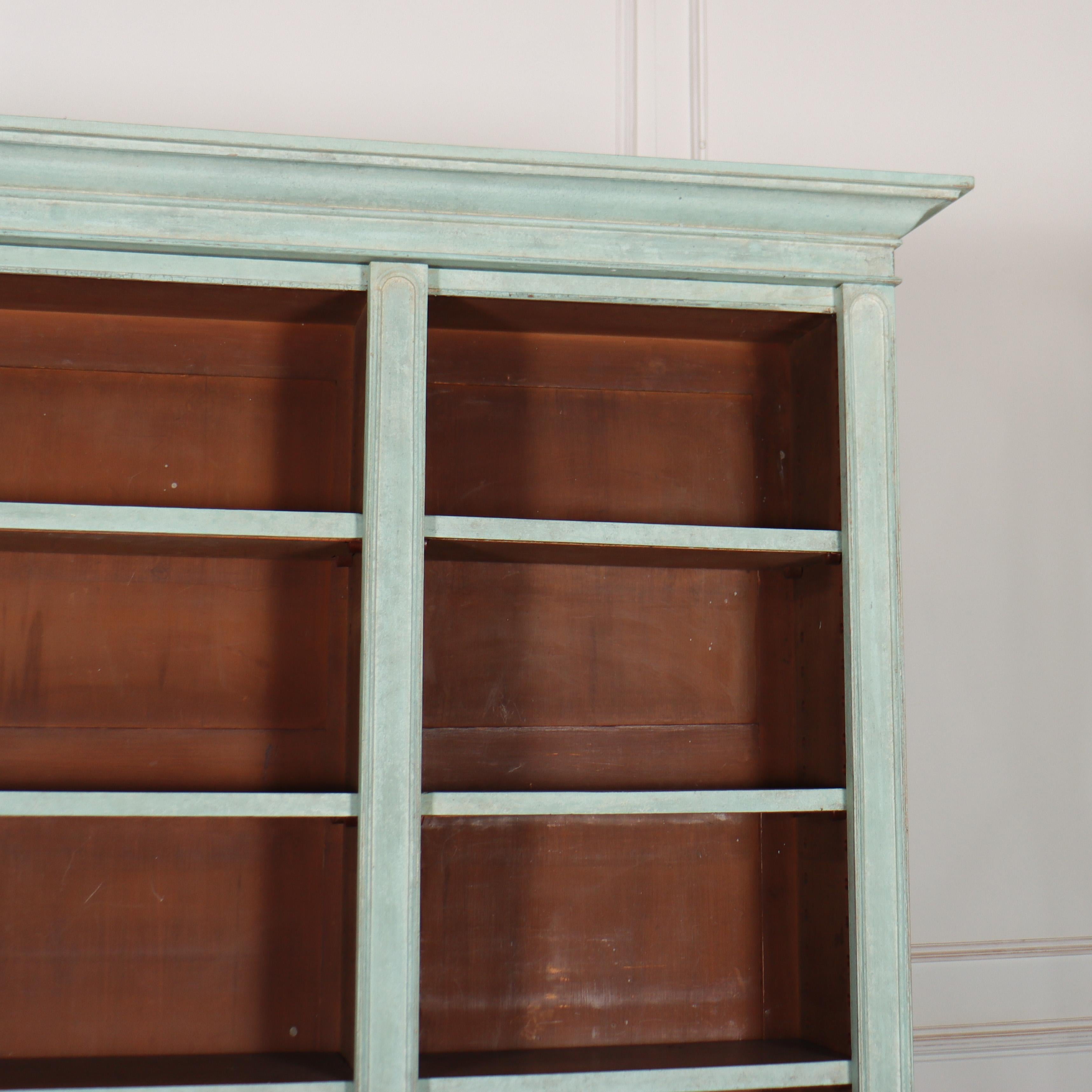 painted bookshelves