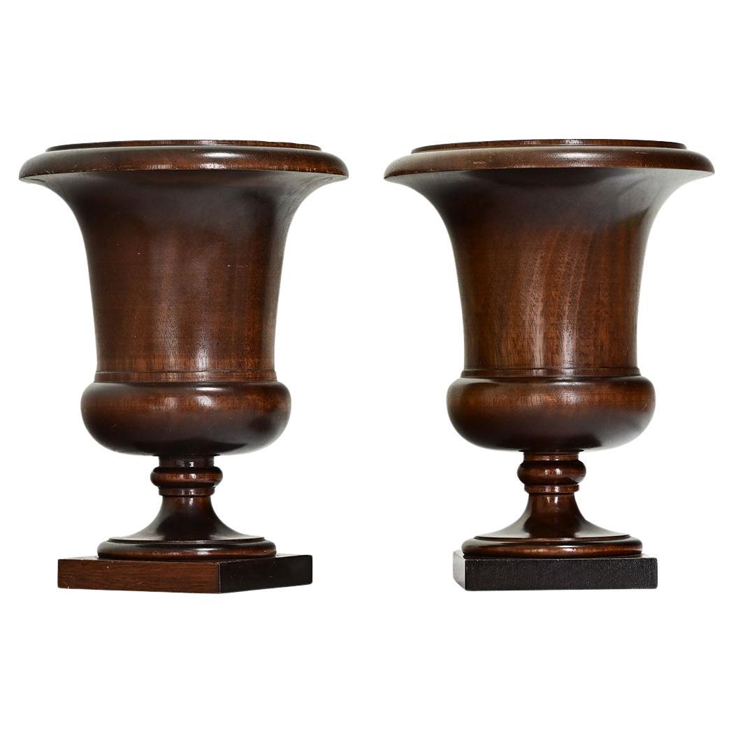 English Pair of 19th Century Walnut Urns For Sale