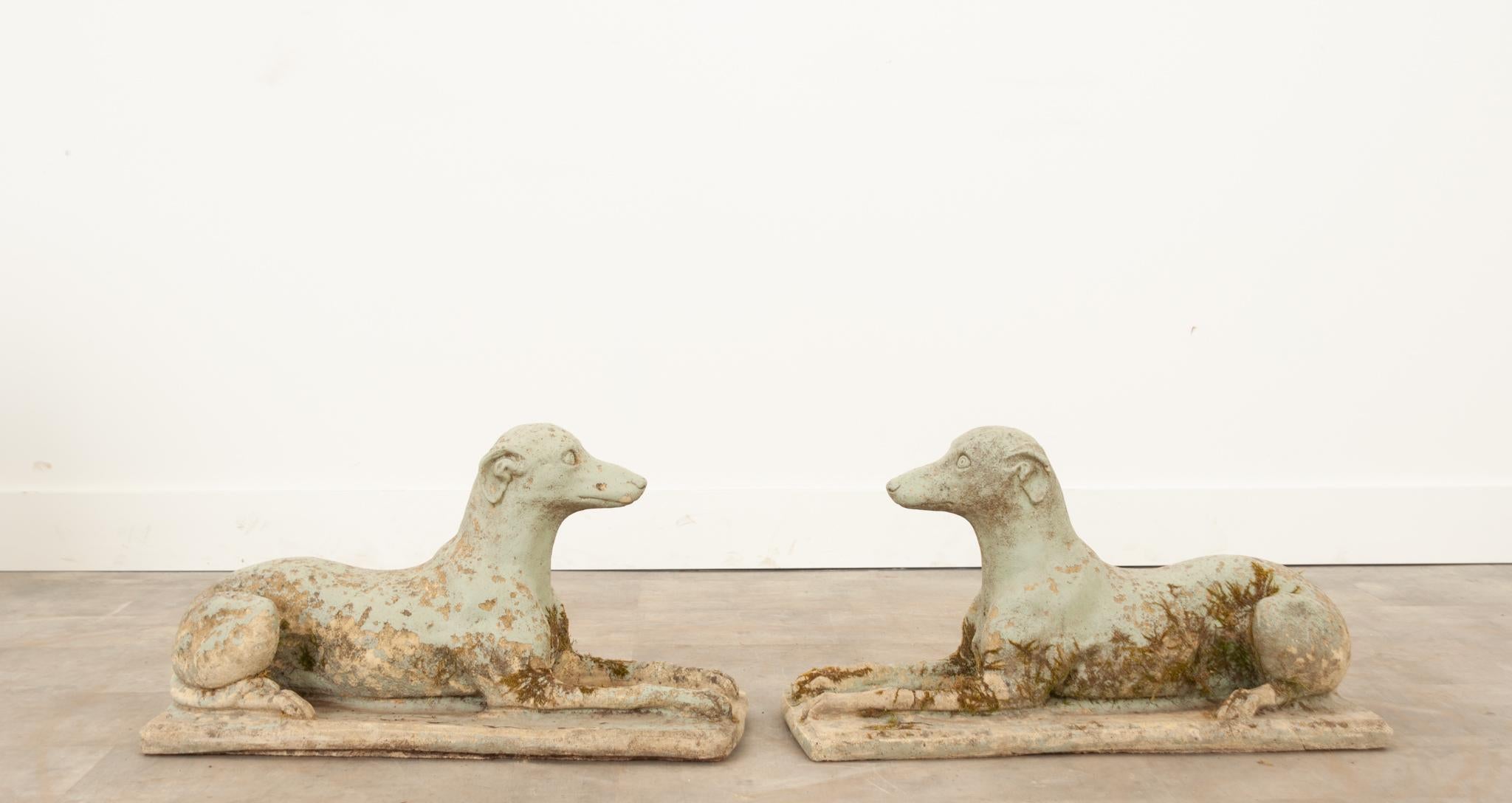 English Pair of Stone Whippets 5