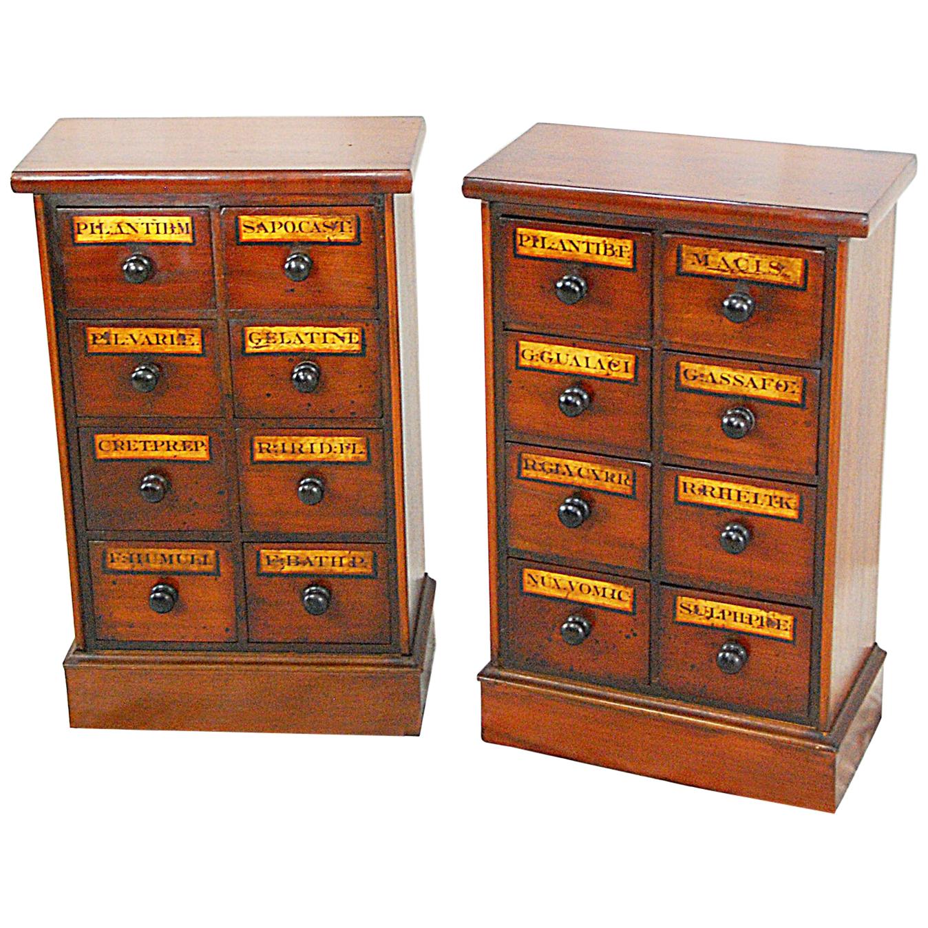 English Pair of Victorian Period Small Apothecary Cabinets of Eight Drawers Each