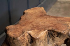 Paire de tables d'extrémité d'appoint primitives anglaises en teck et racine