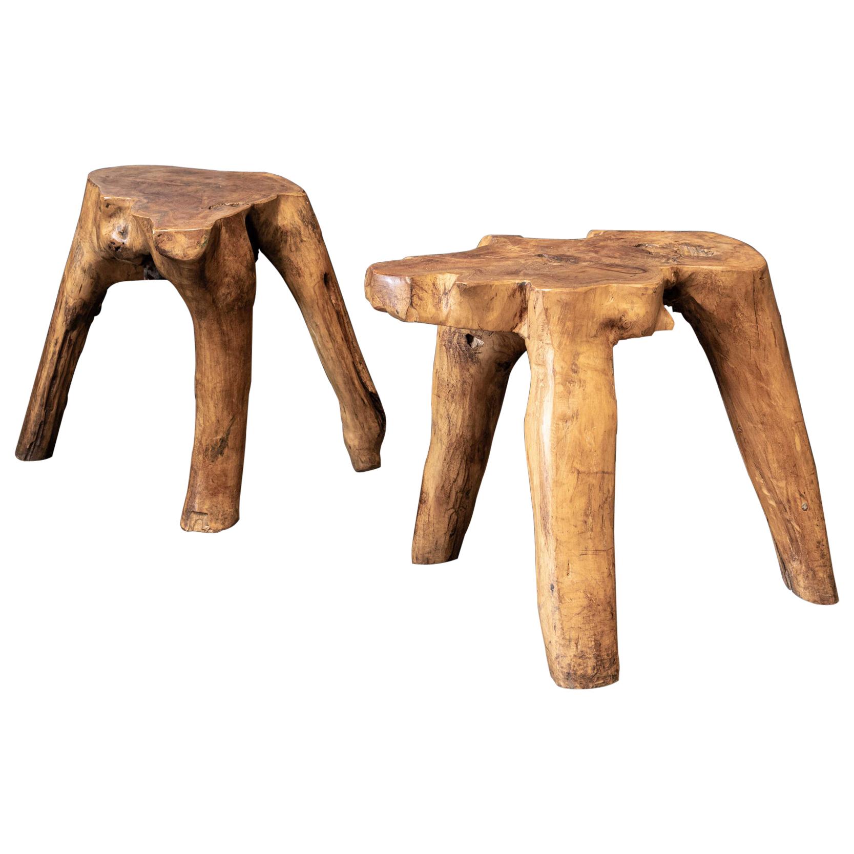 English Pair Primitive Teak Root Side End Tables For Sale