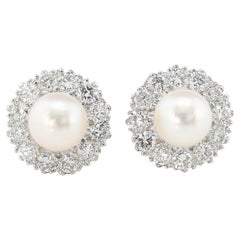 Englische englische Perle 2,40 Karat Diamant G VVS G Gänseblümchen-Ohrstecker