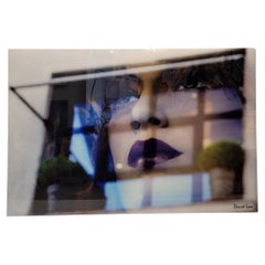 Photographie anglaise David Law, Methacrylate