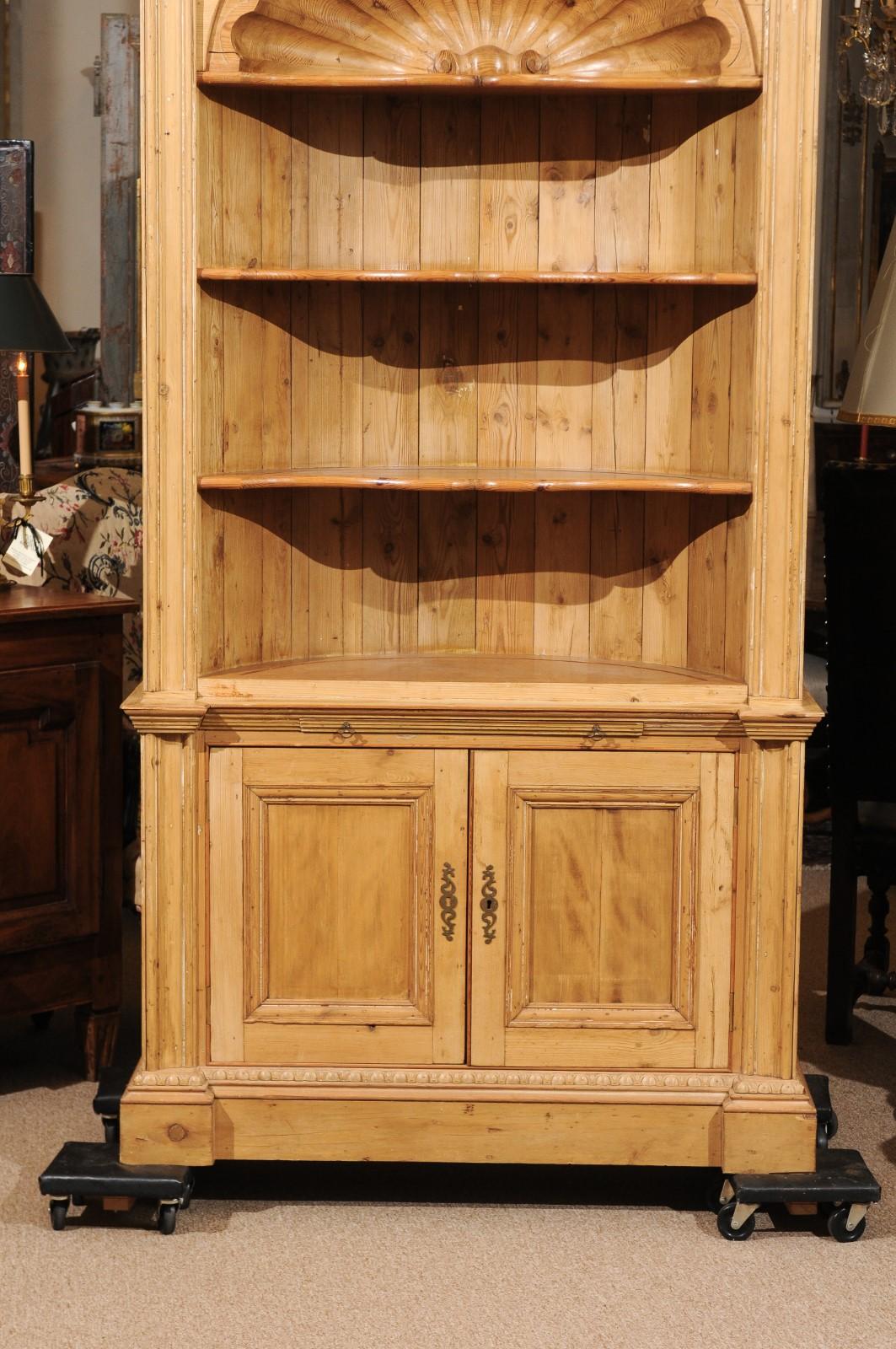 English Pine Bookcase with Shell Carving 1