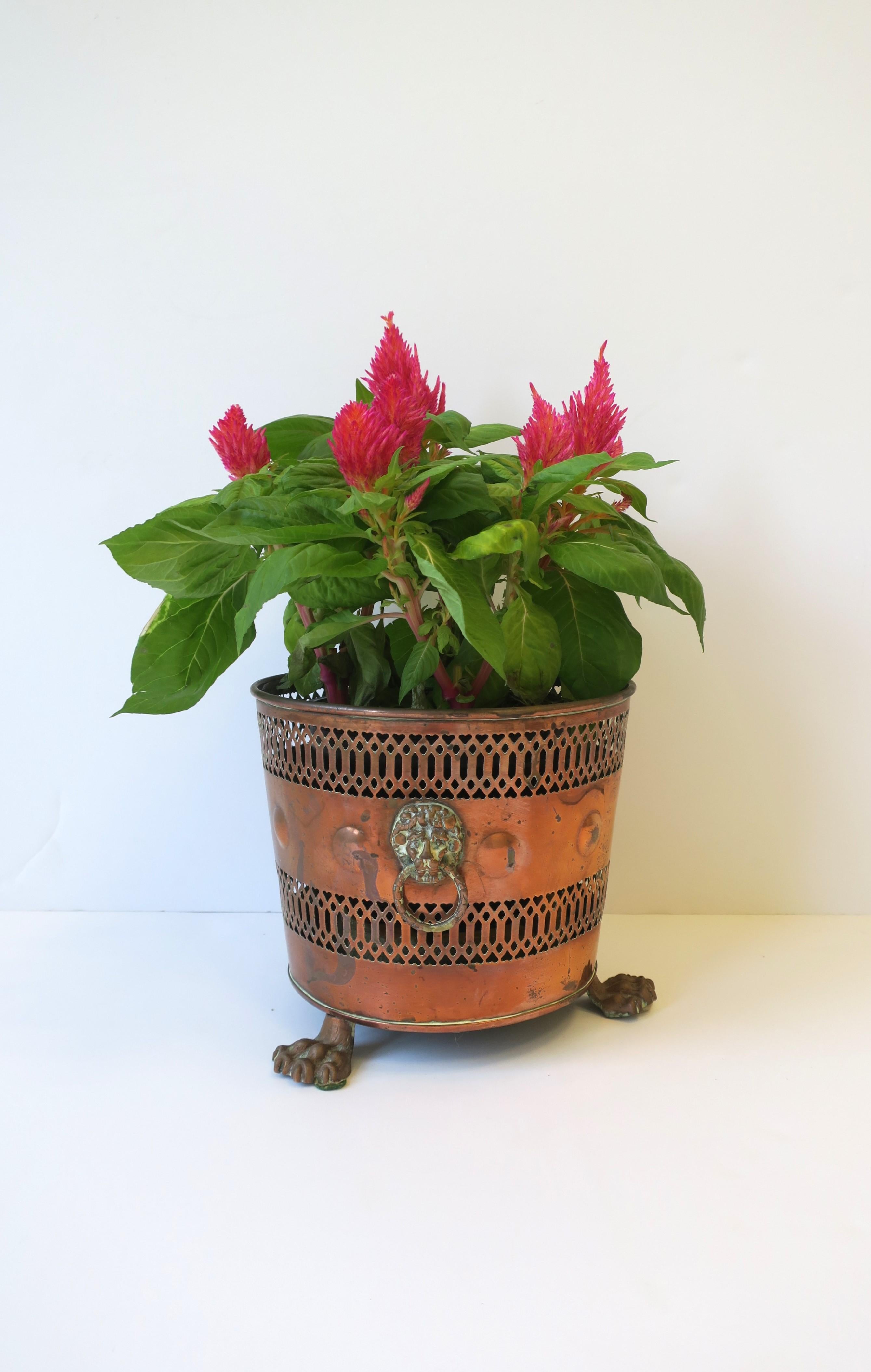 Empire English Plant Flower Pot Holder Cachepot Jardiniere Lion Paw Feet  For Sale