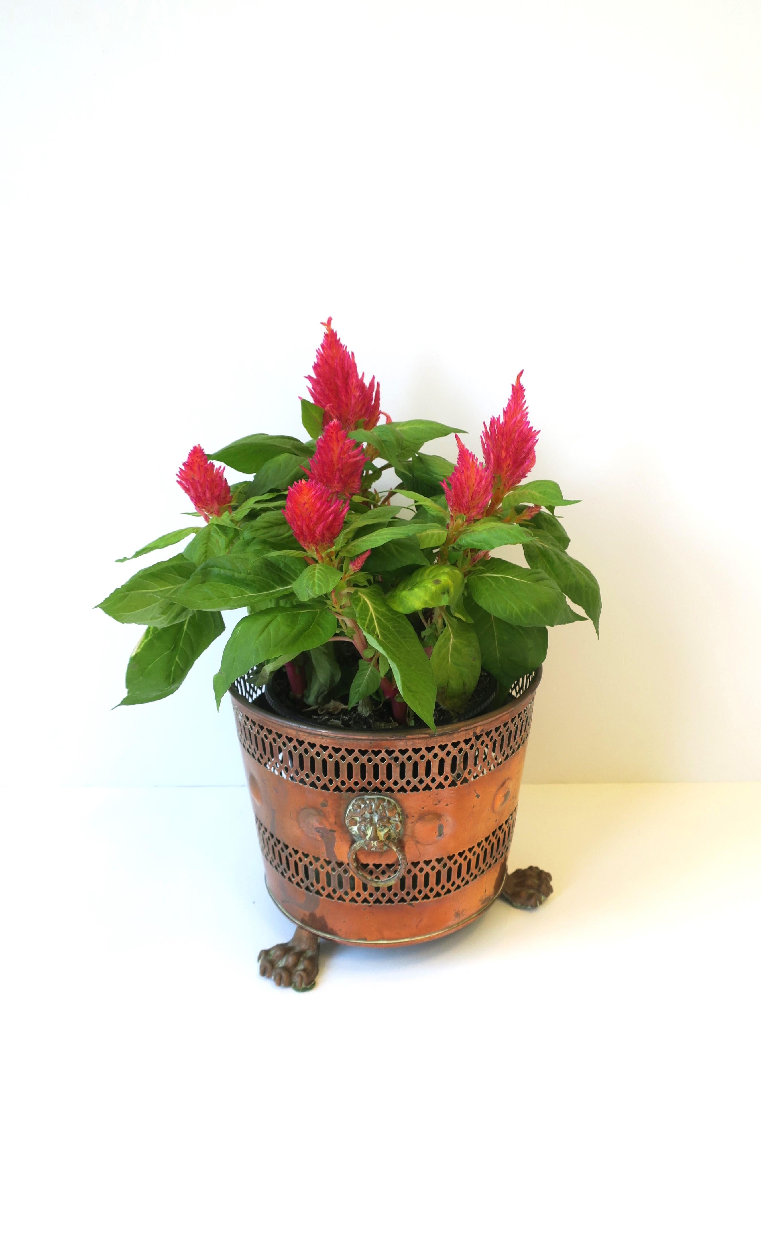 Empire English Plant Flower Pot Holder Cachepot Jardiniere Lion Paw Feet  For Sale