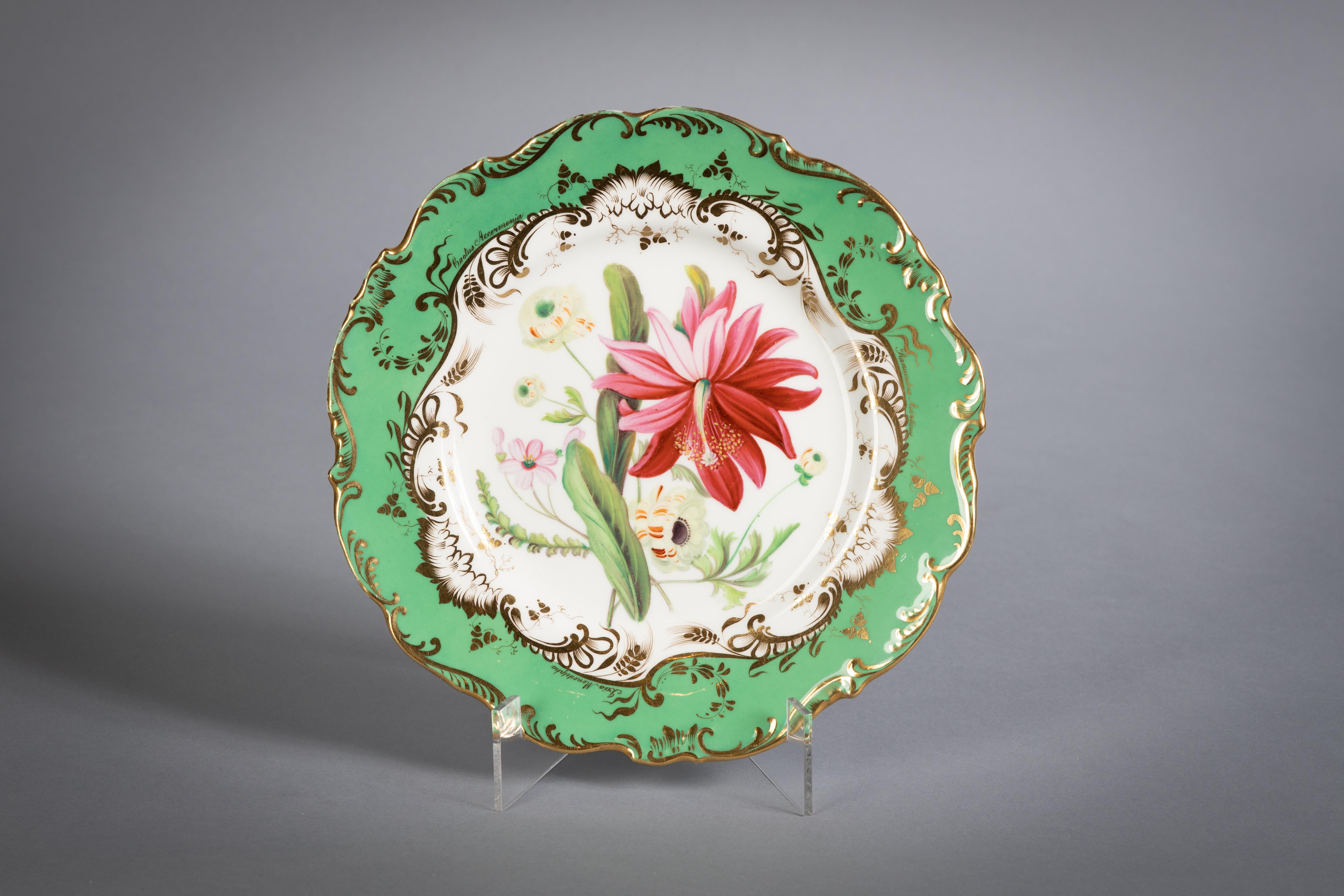 Service de table botanique en porcelaine anglaise, Coalport, vers 1840 en vente 5