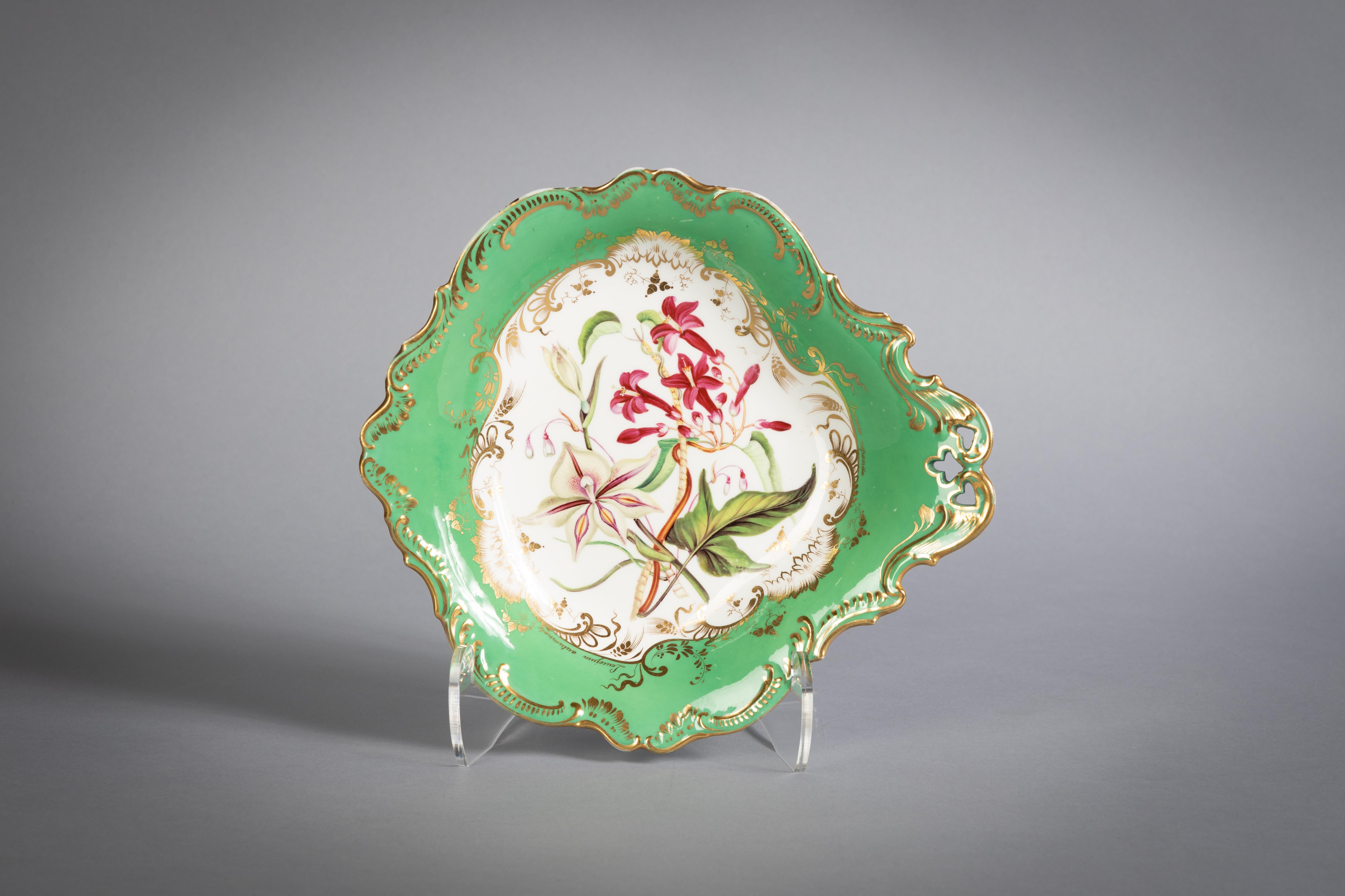 Service de table botanique en porcelaine anglaise, Coalport, vers 1840 en vente 13