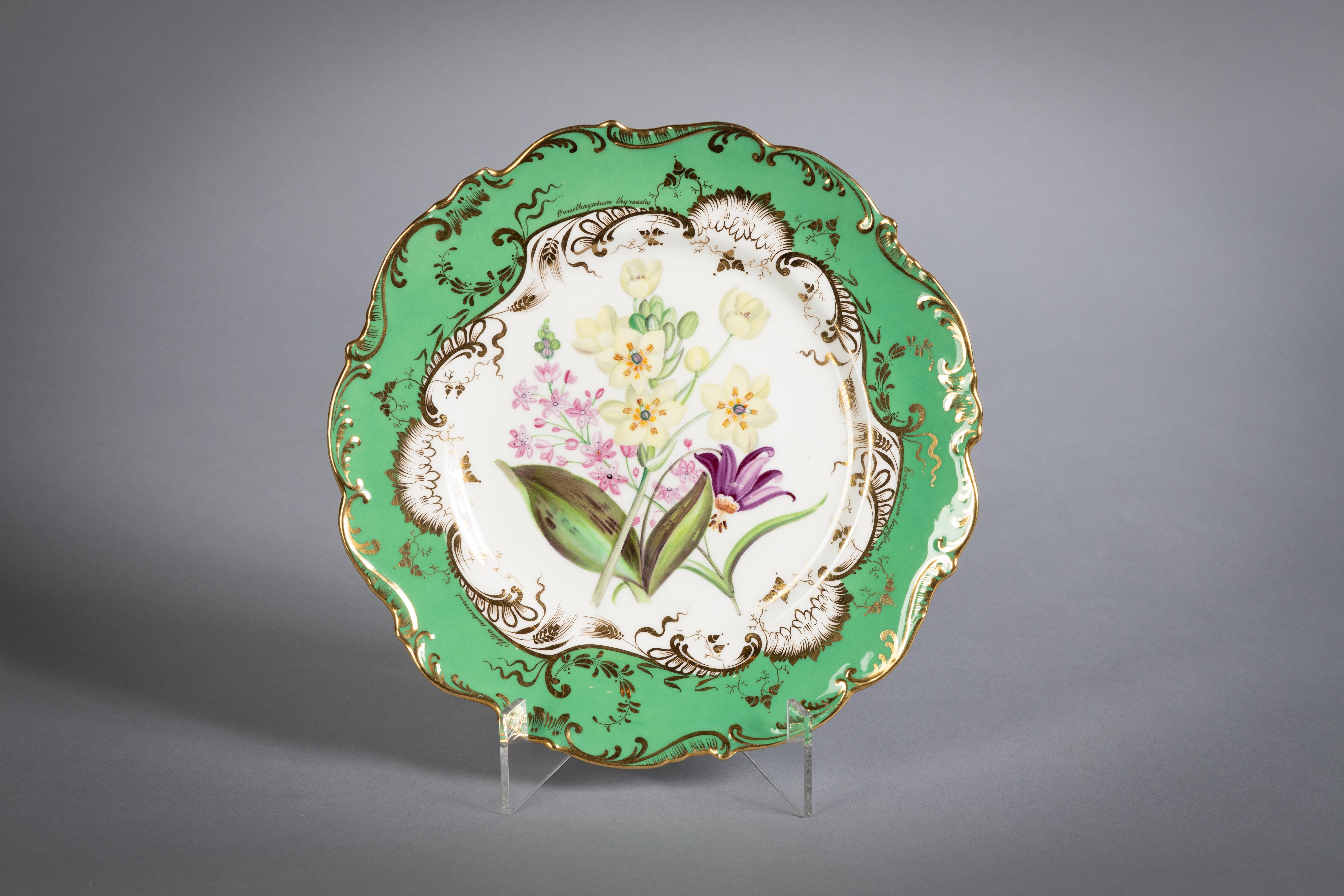 Milieu du XIXe siècle Service de table botanique en porcelaine anglaise, Coalport, vers 1840 en vente