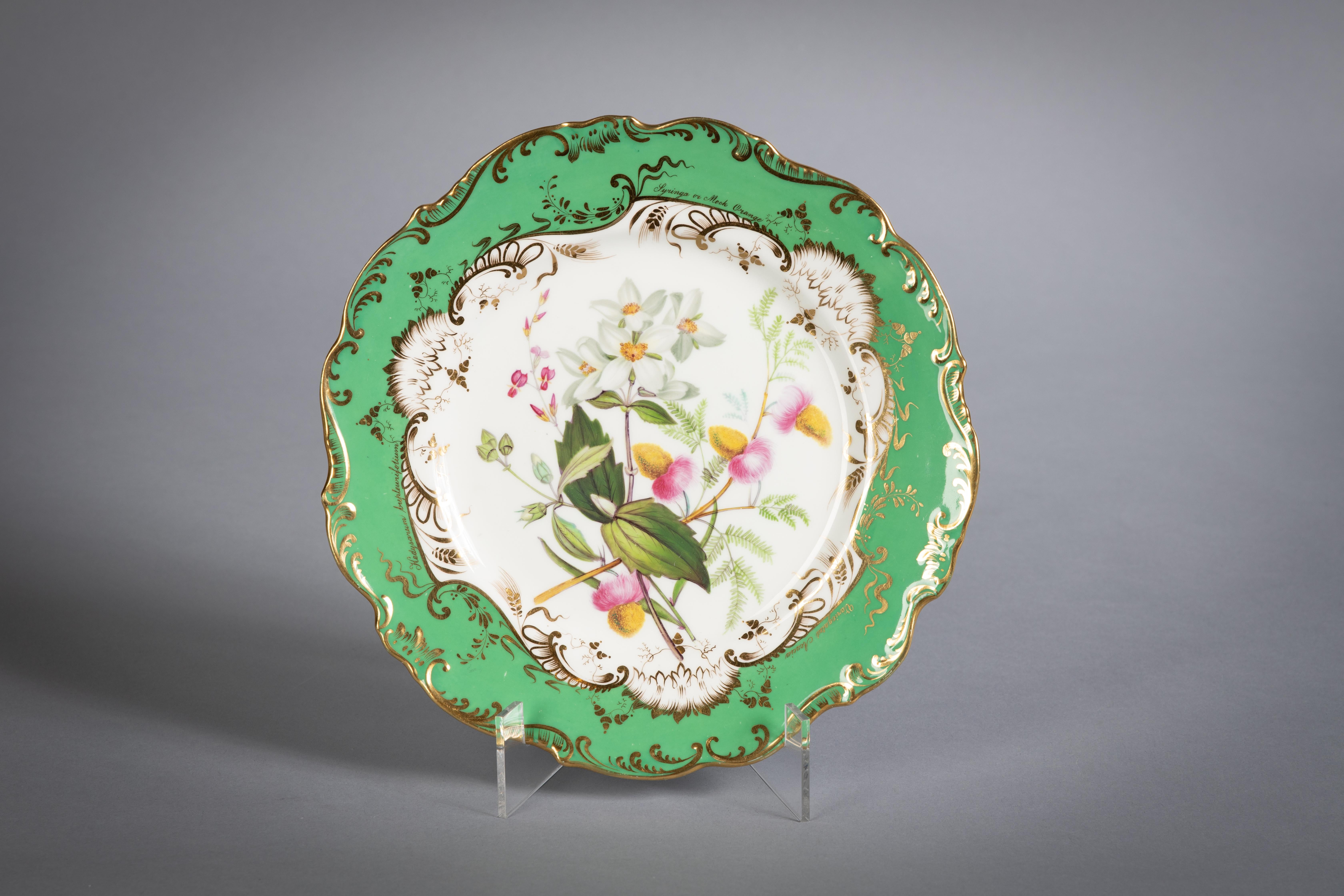 English Porcelain Botanical Dinner Service, Coalport, circa 1840 For Sale 3