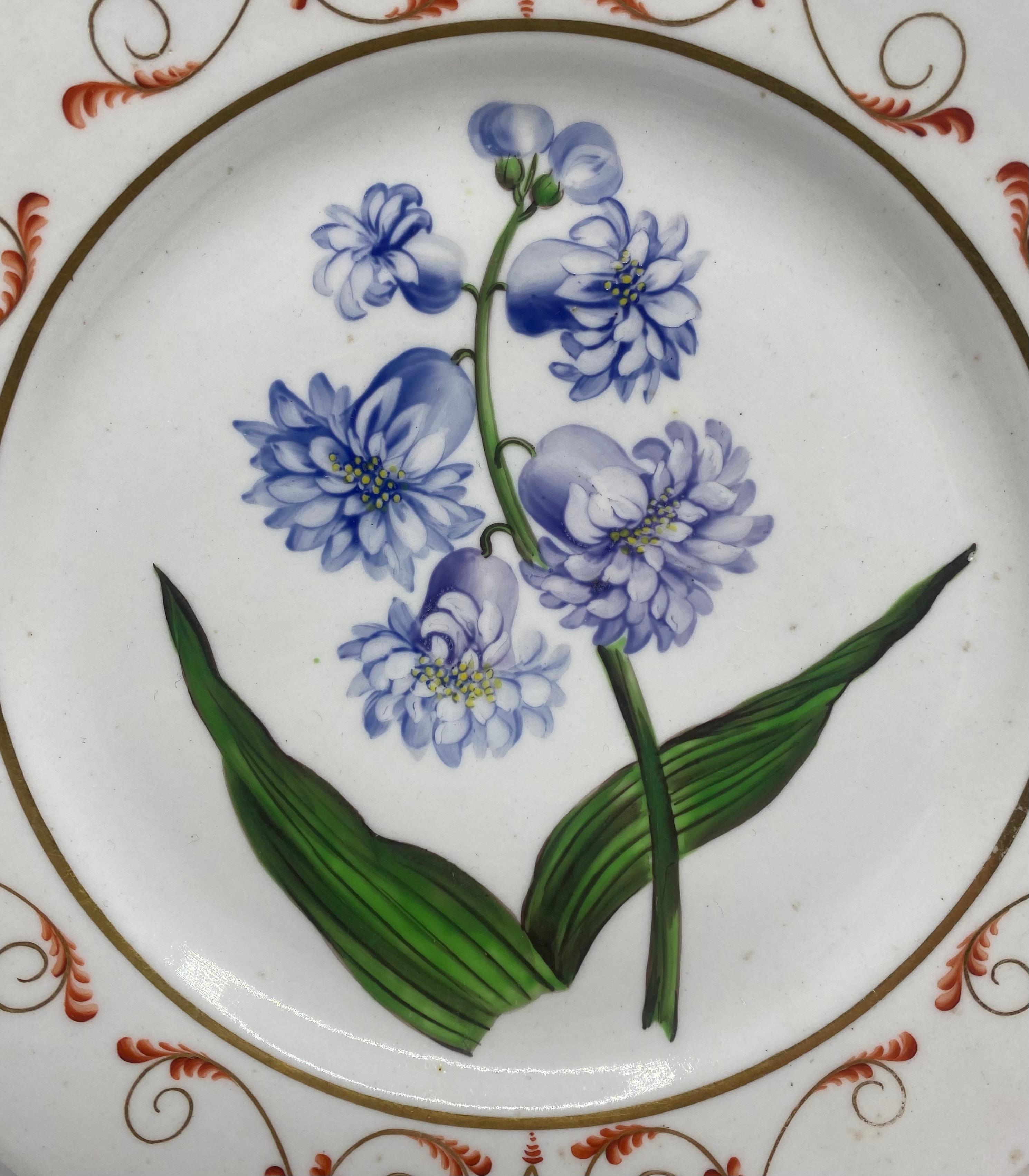 Plat botanique en porcelaine anglaise, 'Hyacinth', C.C. 1800. Peint à la main au centre, avec une étude titrée d'une jacinthe. La bordure est ornée d'un motif stylisé de rinceaux de feuilles classiques, en rouge de fer et doré.
Titré au verso en